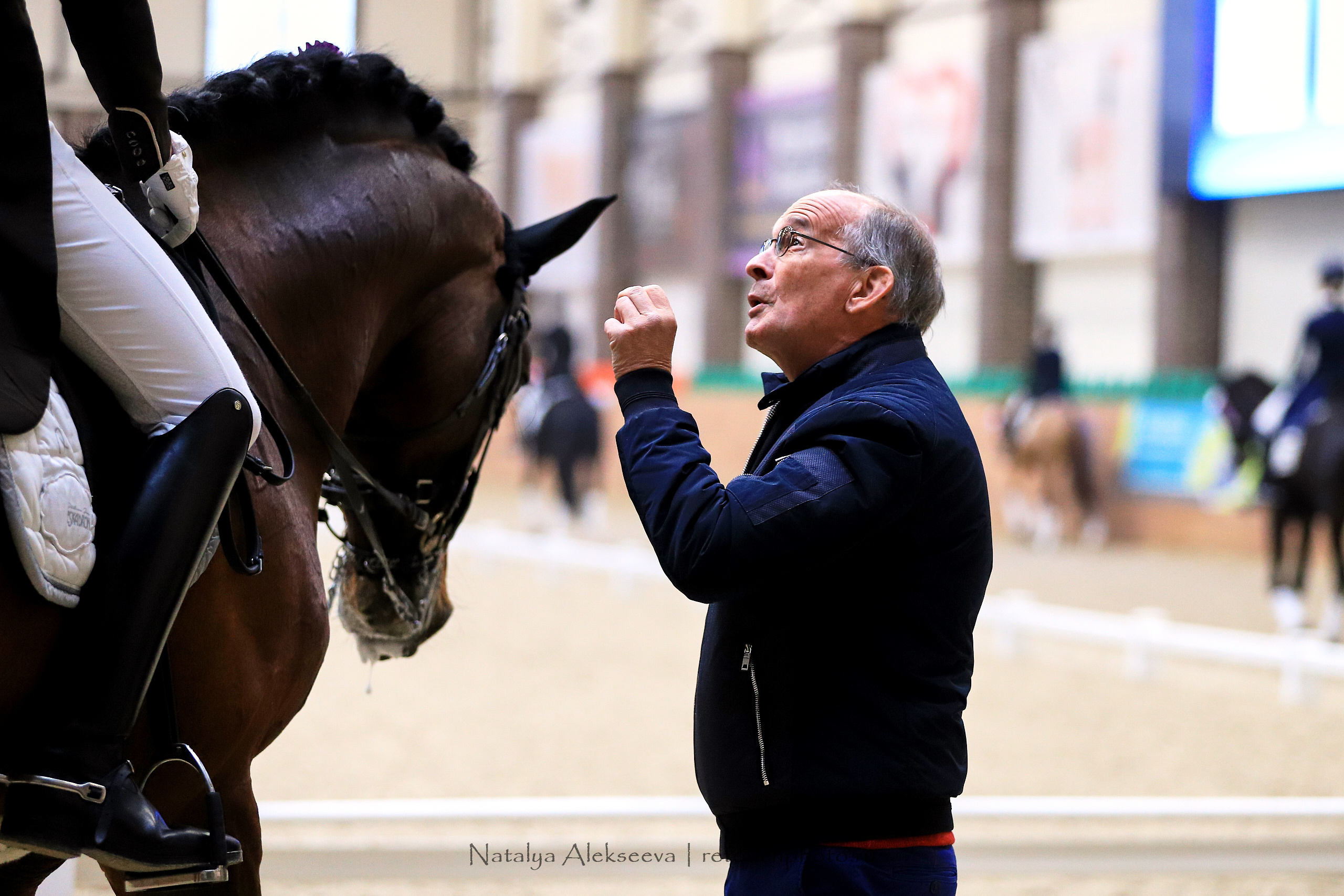 CDI-3*/2*/Y/J/CH, Maxima Stables | 11'2019. Репортажный фотограф и ретушер в Москве Наталья Алексеева