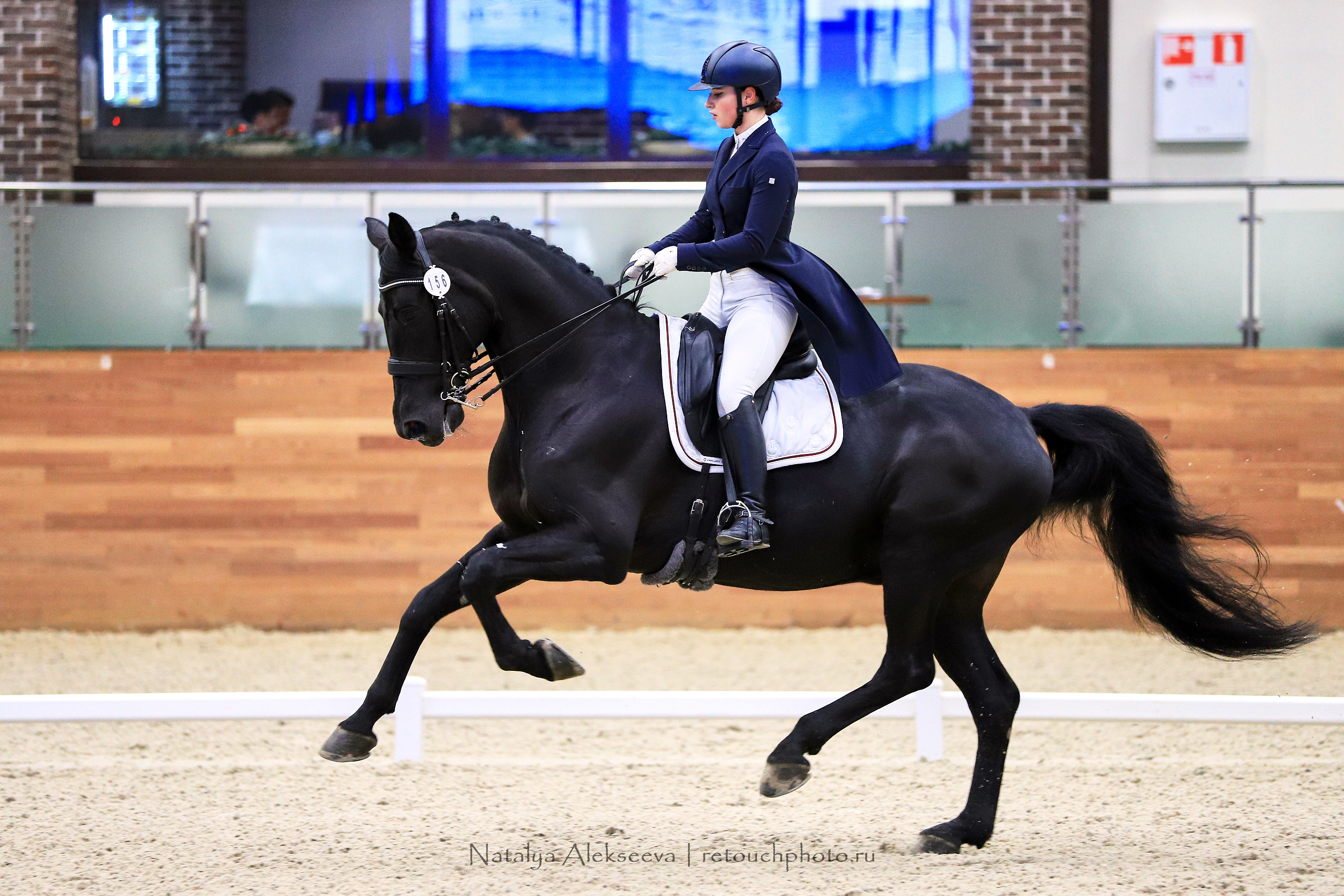 CDI-3*/2*/Y/J/CH, Maxima Stables | 11'2019. Репортажный фотограф и ретушер в Москве Наталья Алексеева