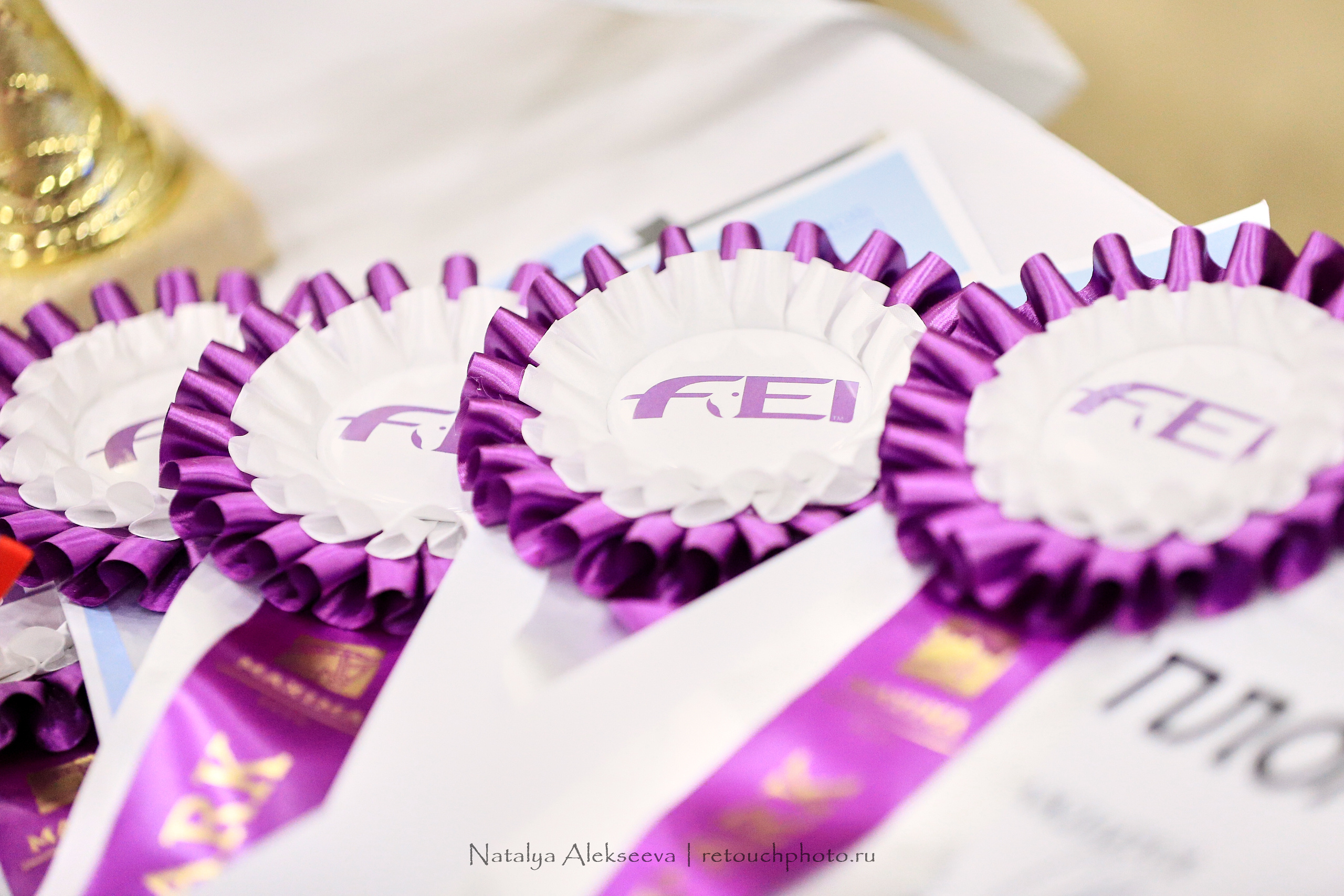 CDI-3*/2*/Y/J/CH, Maxima Stables | 11'2019. Репортажный фотограф и ретушер в Москве Наталья Алексеева