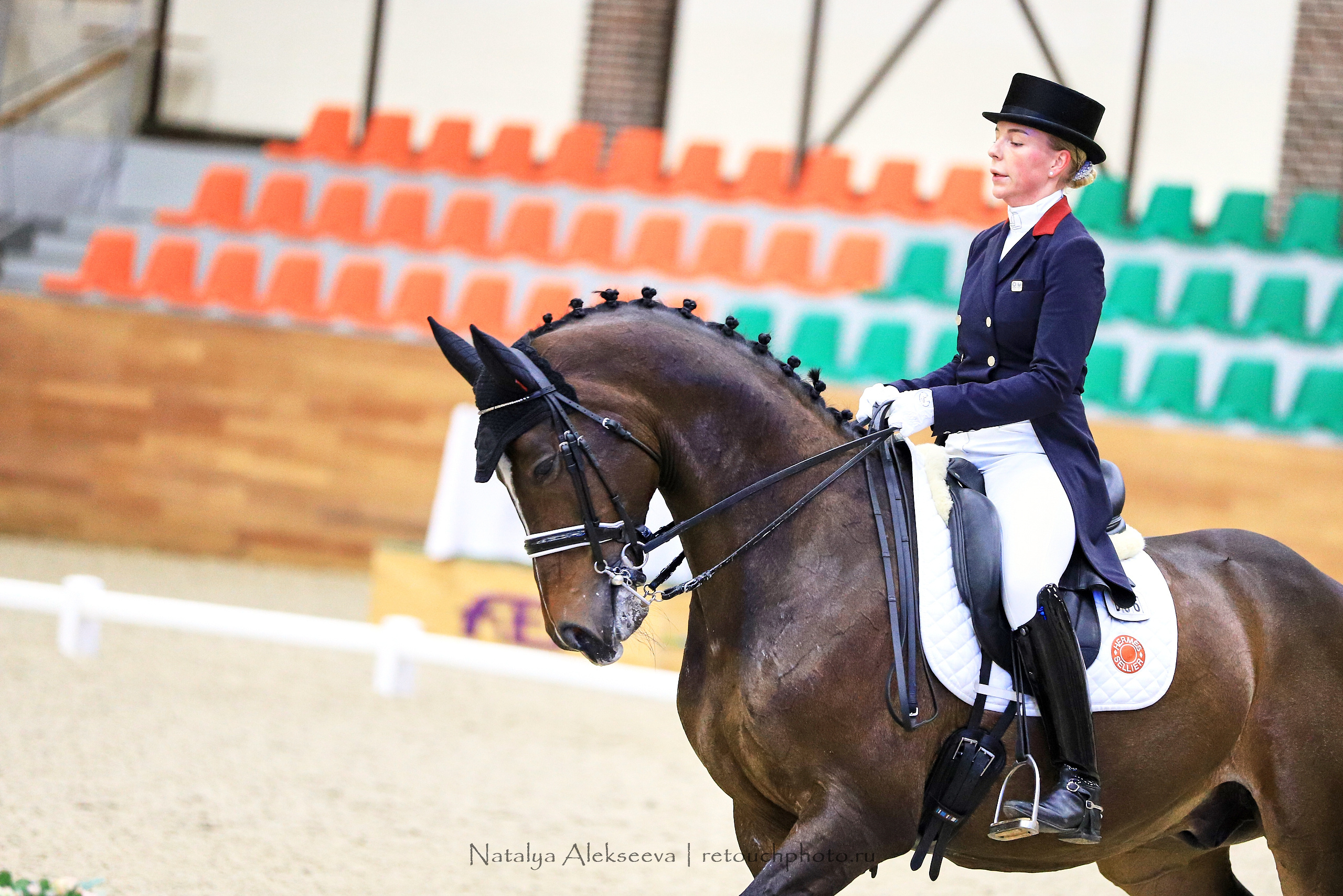 CDI-3*/2*/Y/J/CH, Maxima Stables | 11'2019. Репортажный фотограф и ретушер в Москве Наталья Алексеева