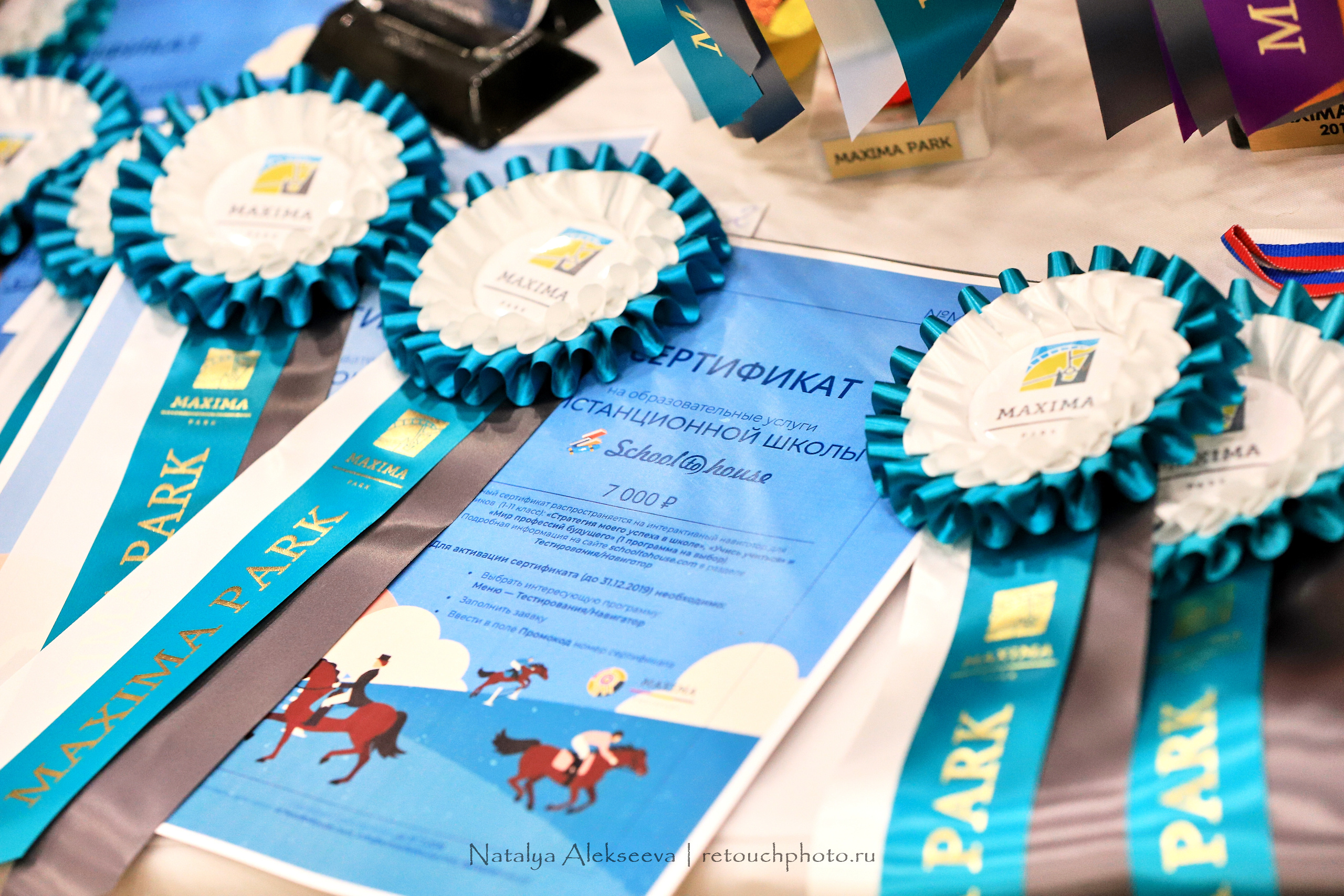 CDI-3*/2*/Y/J/CH, Maxima Stables | 11'2019. Репортажный фотограф и ретушер в Москве Наталья Алексеева