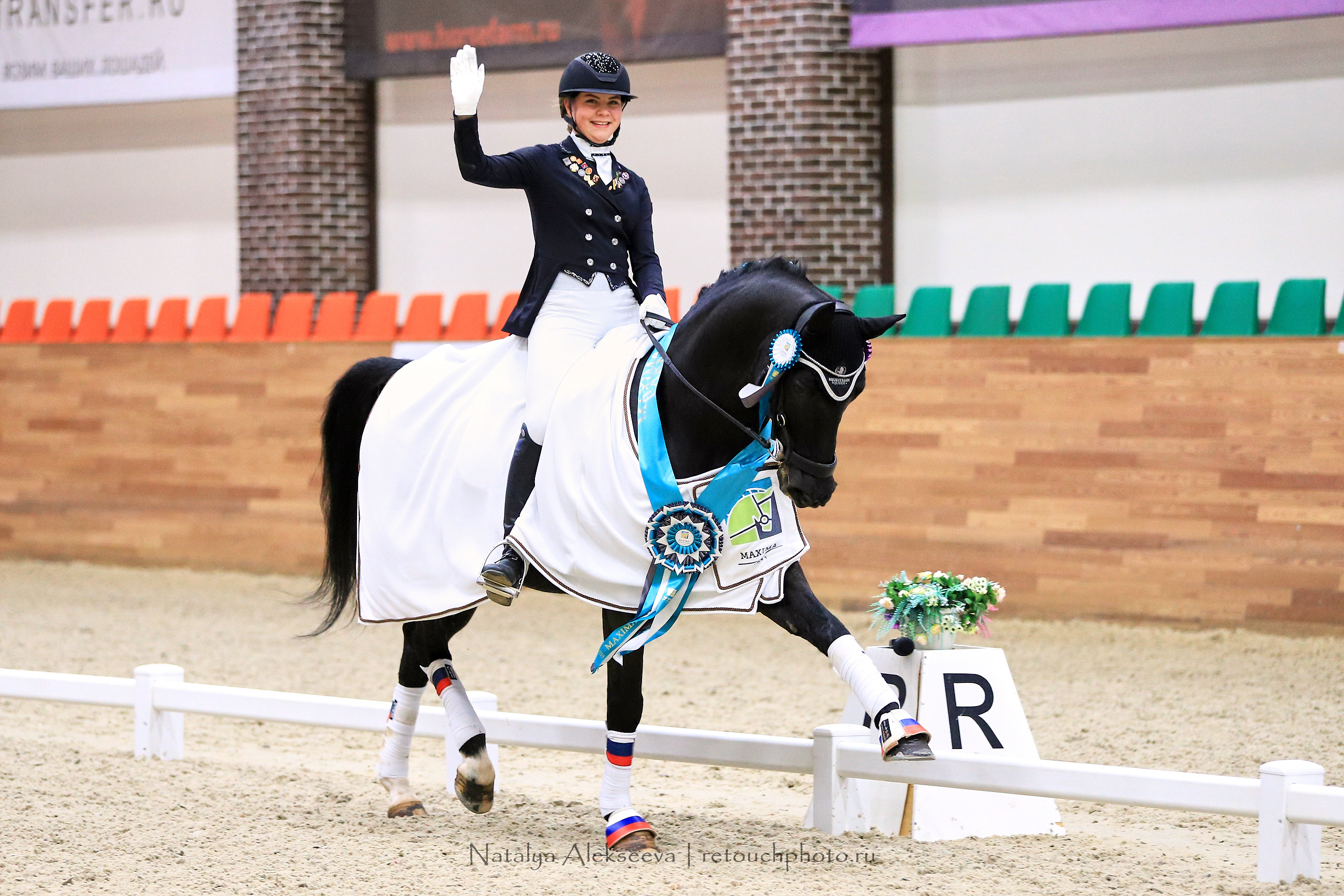 CDI-3*/2*/Y/J/CH, Maxima Stables | 11'2019. Репортажный фотограф и ретушер в Москве Наталья Алексеева