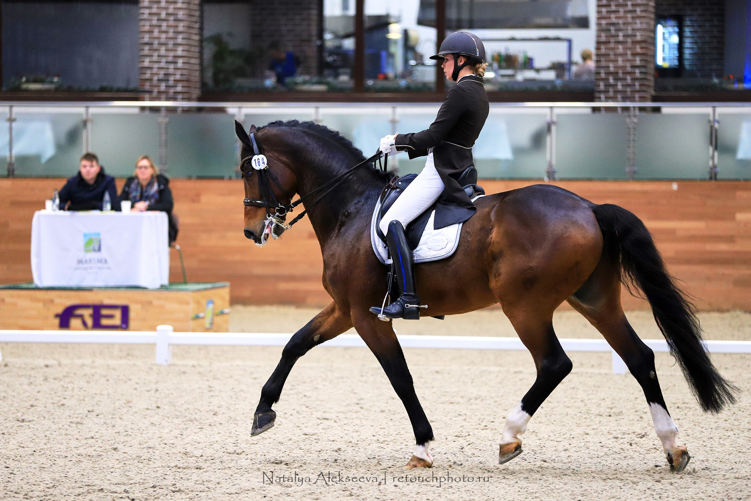 CDI-3*/2*/Y/J/CH, Maxima Stables | 11'2019. Репортажный фотограф и ретушер в Москве Наталья Алексеева