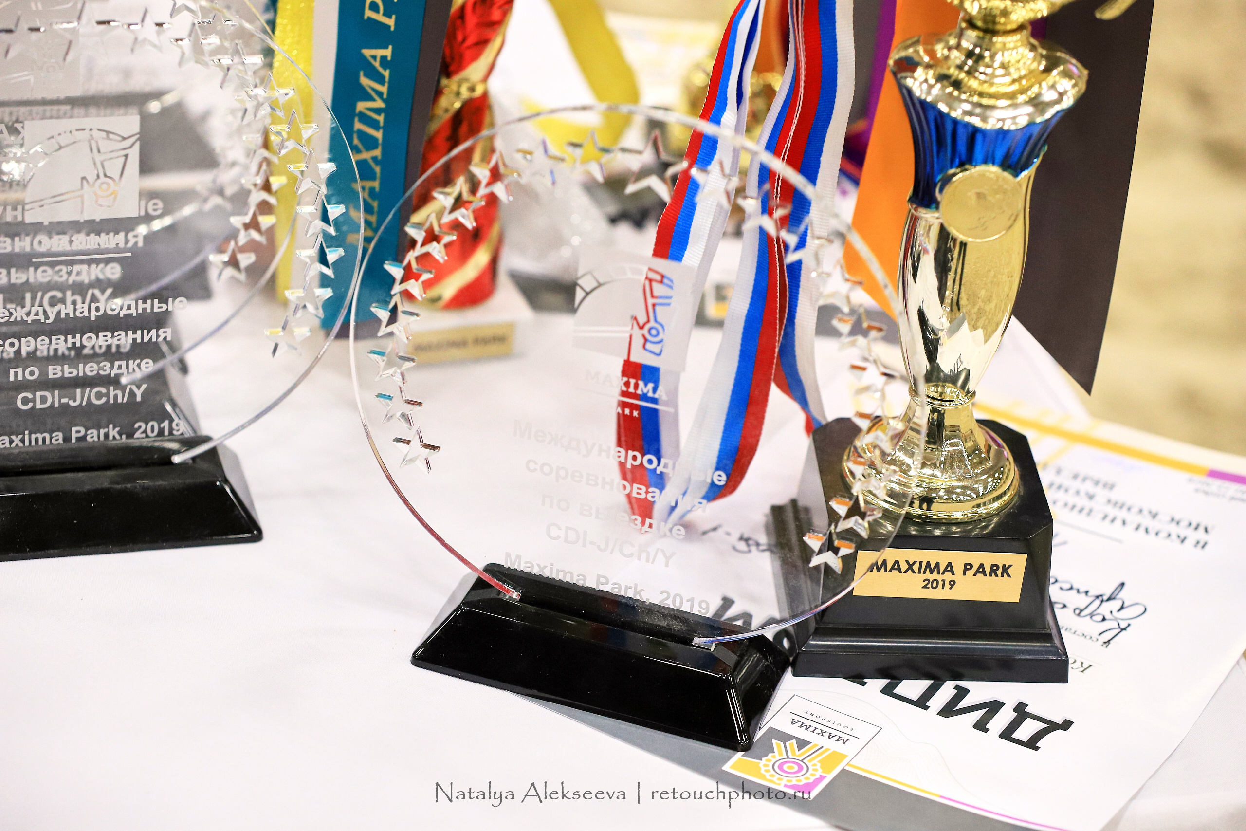 CDI-3*/2*/Y/J/CH, Maxima Stables | 11'2019. Репортажный фотограф и ретушер в Москве Наталья Алексеева