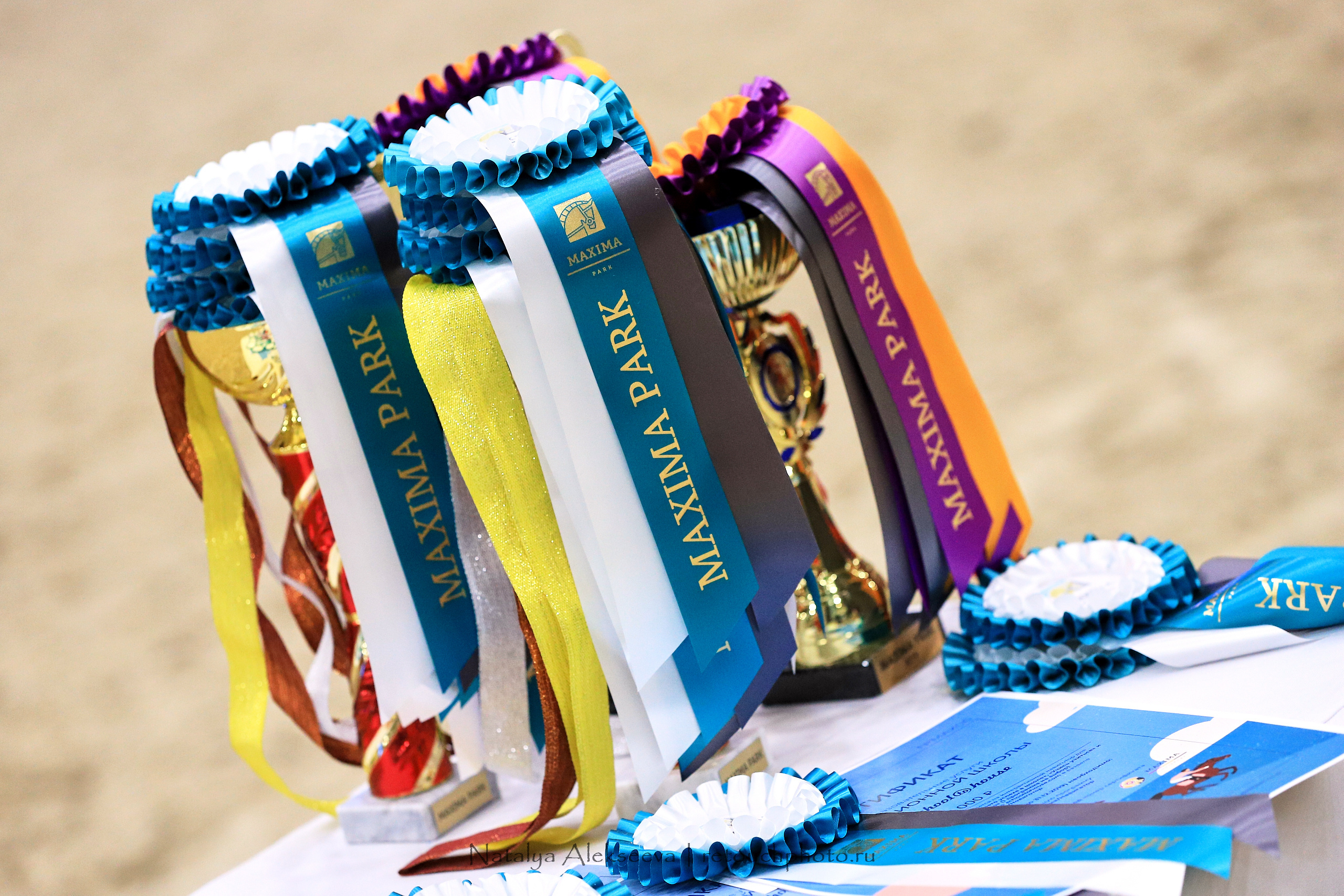 CDI-3*/2*/Y/J/CH, Maxima Stables | 11'2019. Репортажный фотограф и ретушер в Москве Наталья Алексеева