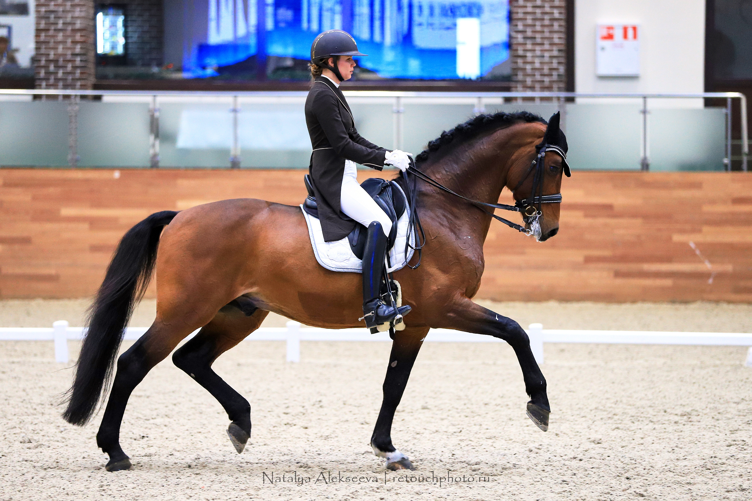 CDI-3*/2*/Y/J/CH, Maxima Stables | 11'2019. Репортажный фотограф и ретушер в Москве Наталья Алексеева