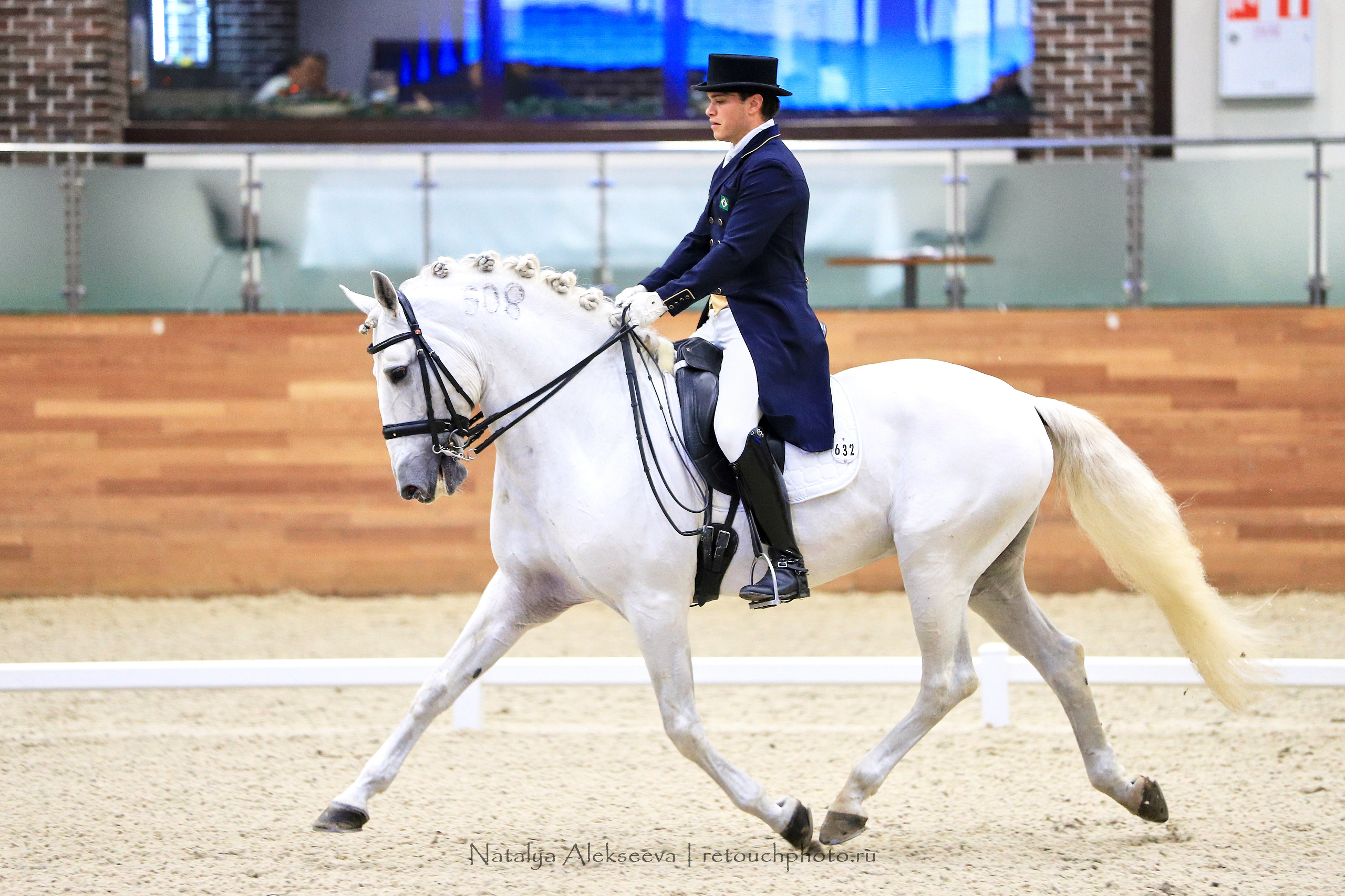 CDI-3*/2*/Y/J/CH, Maxima Stables | 11'2019. Репортажный фотограф и ретушер в Москве Наталья Алексеева