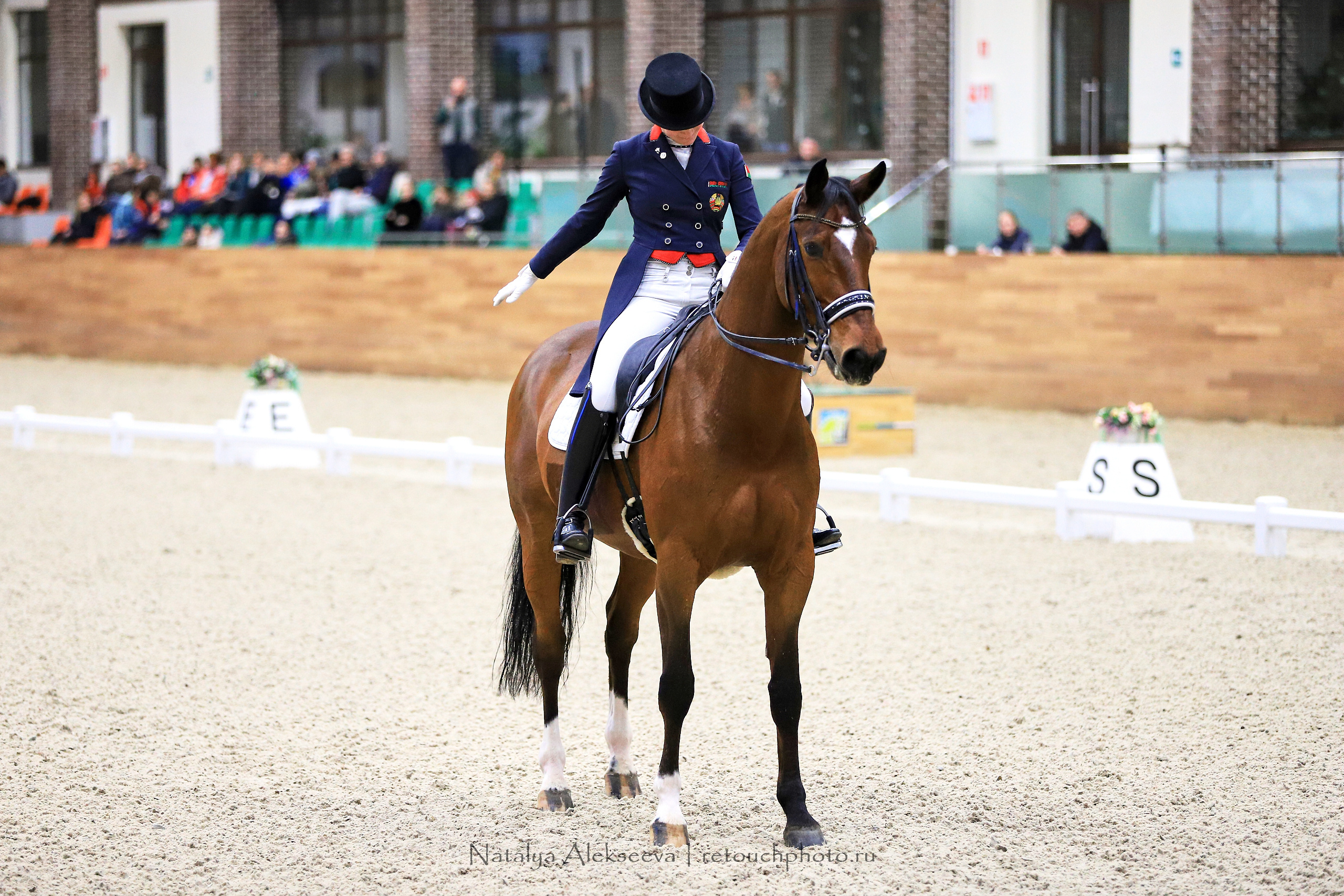 CDI-3*/2*/Y/J/CH, Maxima Stables | 11'2019. Репортажный фотограф и ретушер в Москве Наталья Алексеева