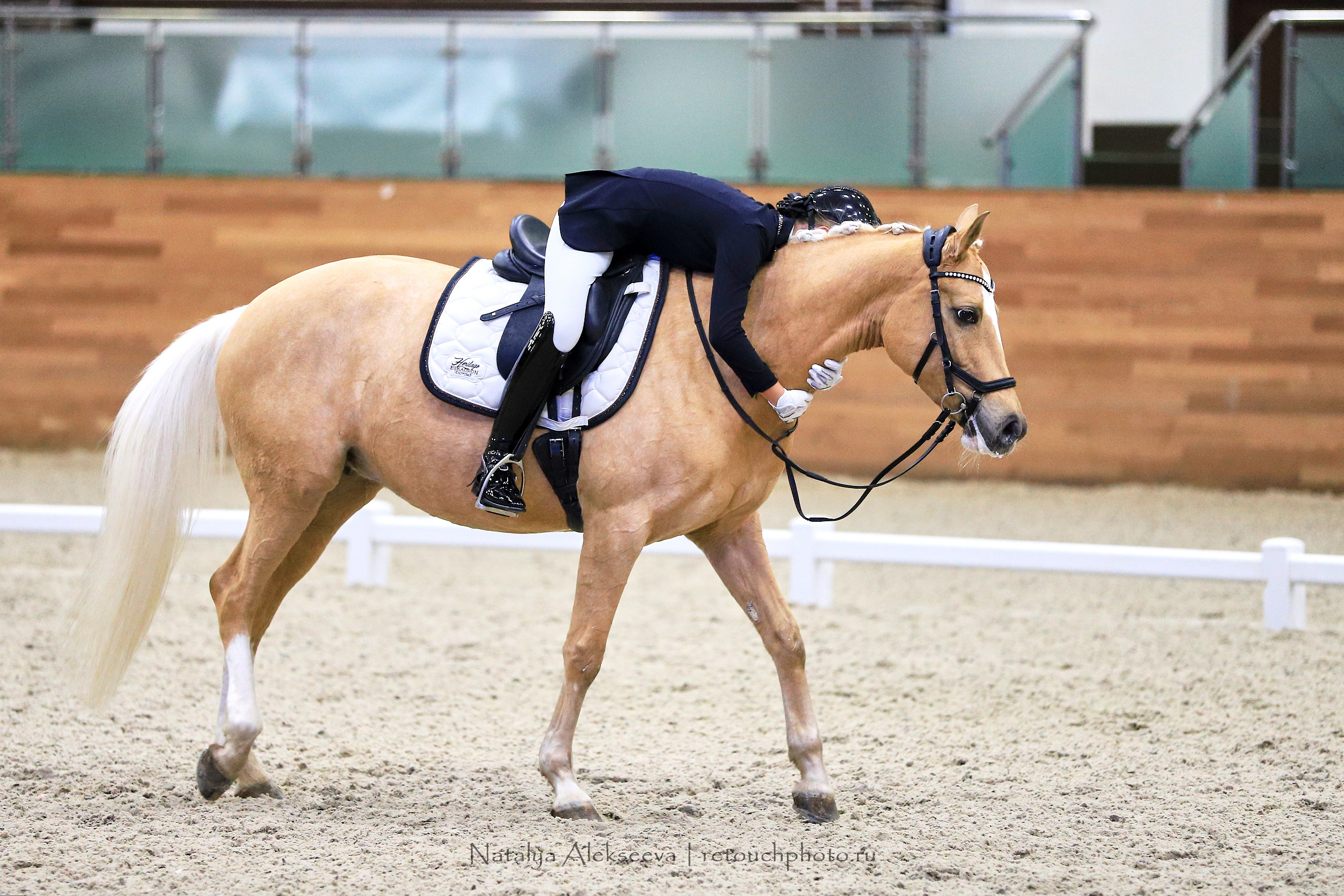 CDI-3*/2*/Y/J/CH, Maxima Stables | 11'2019. Репортажный фотограф и ретушер в Москве Наталья Алексеева