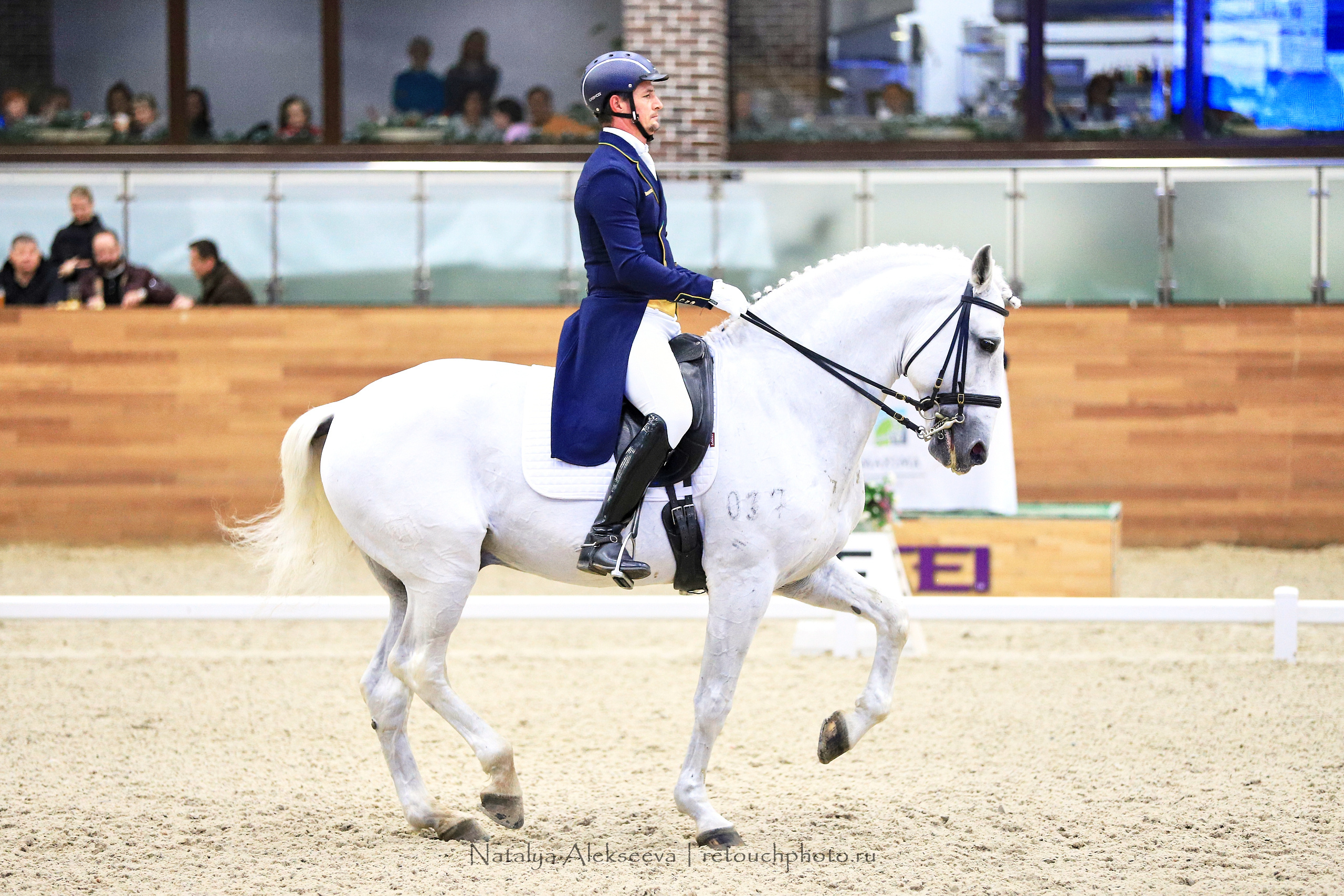 CDI-3*/2*/Y/J/CH, Maxima Stables | 11'2019. Репортажный фотограф и ретушер в Москве Наталья Алексеева