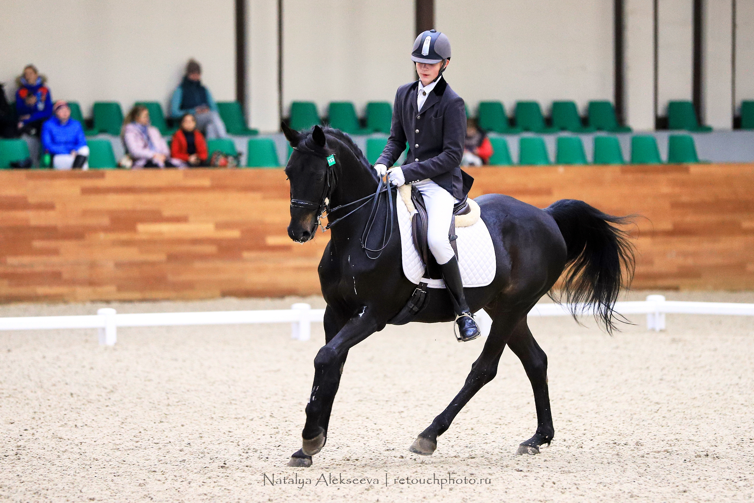 CDI-3*/2*/Y/J/CH, Maxima Stables | 11'2019. Репортажный фотограф и ретушер в Москве Наталья Алексеева