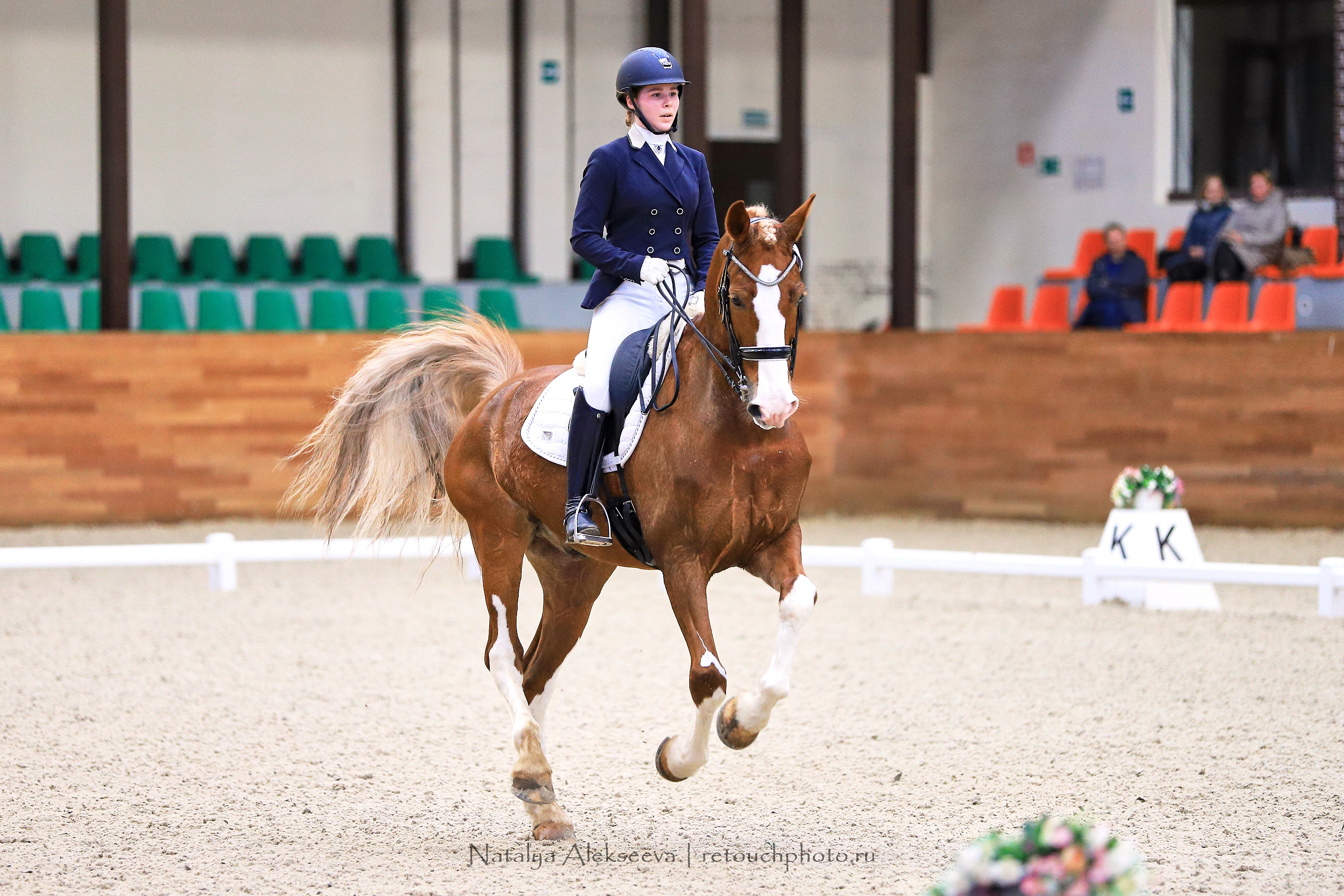 CDI-3*/2*/Y/J/CH, Maxima Stables | 11'2019. Репортажный фотограф и ретушер в Москве Наталья Алексеева