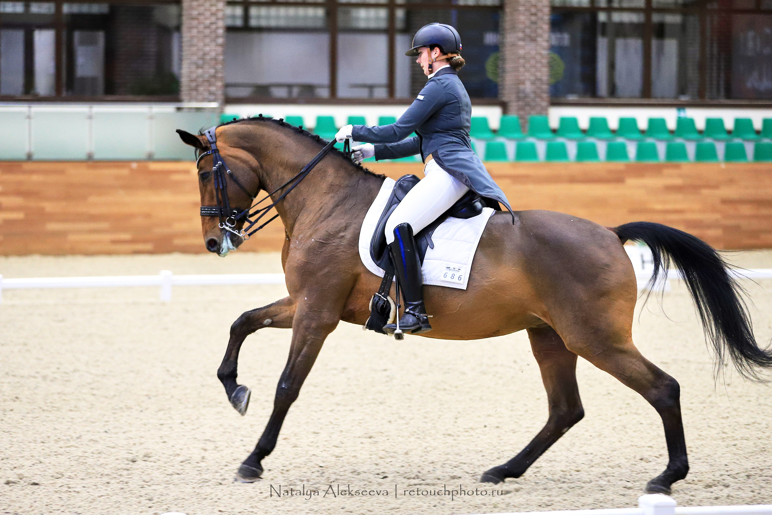 CDI-3*/2*/Y/J/CH, Maxima Stables | 11'2019. Репортажный фотограф и ретушер в Москве Наталья Алексеева