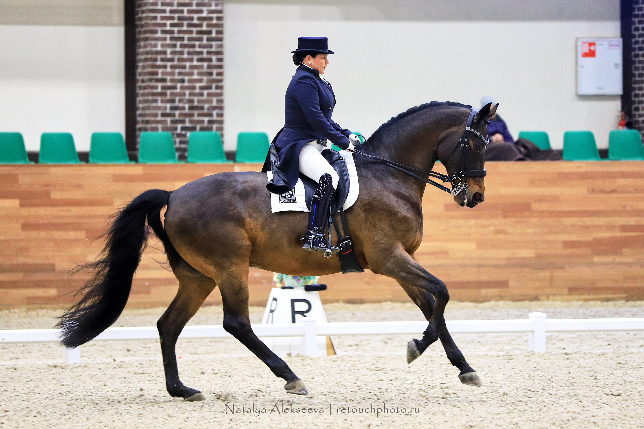 CDI-3*/2*/Y/J/CH, Maxima Stables | 11'2019. Репортажный фотограф и ретушер в Москве Наталья Алексеева