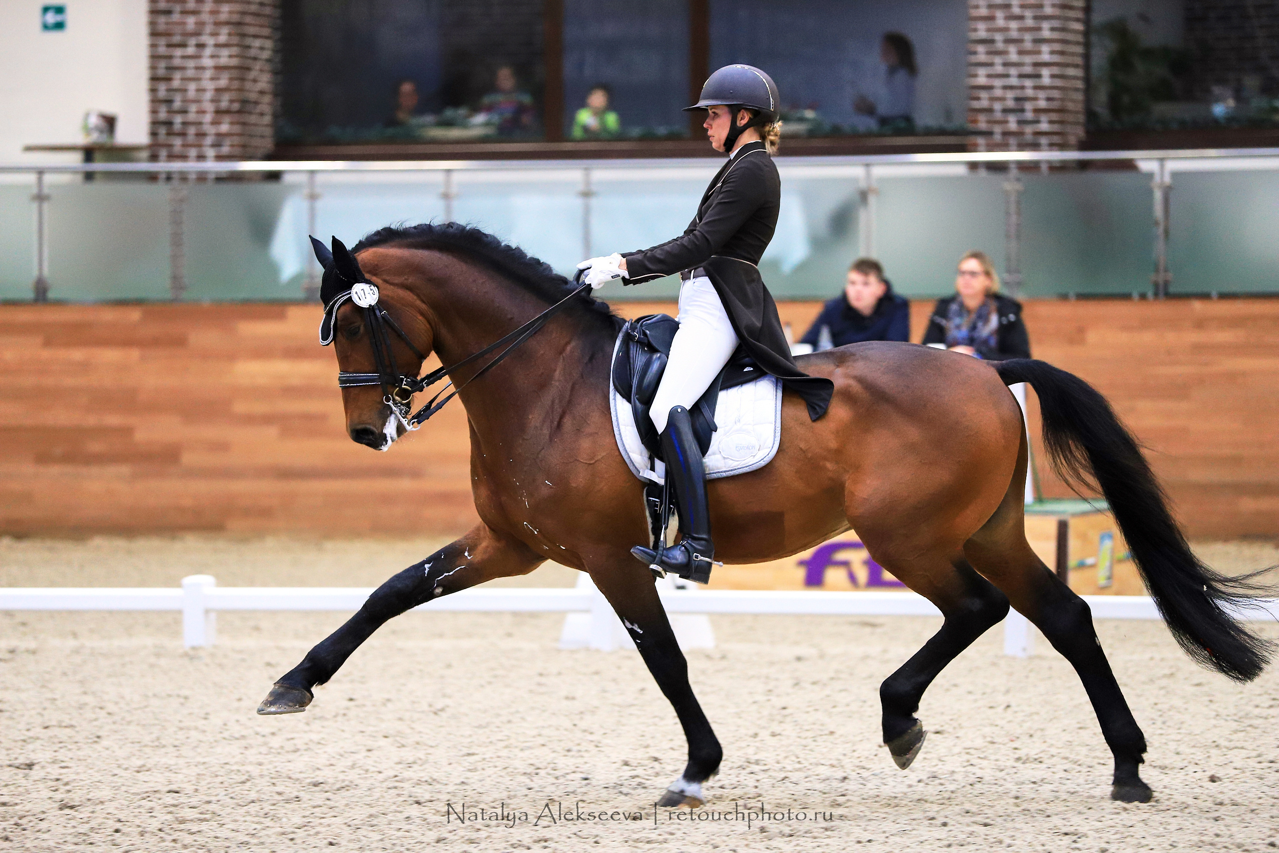 CDI-3*/2*/Y/J/CH, Maxima Stables | 11'2019. Репортажный фотограф и ретушер в Москве Наталья Алексеева
