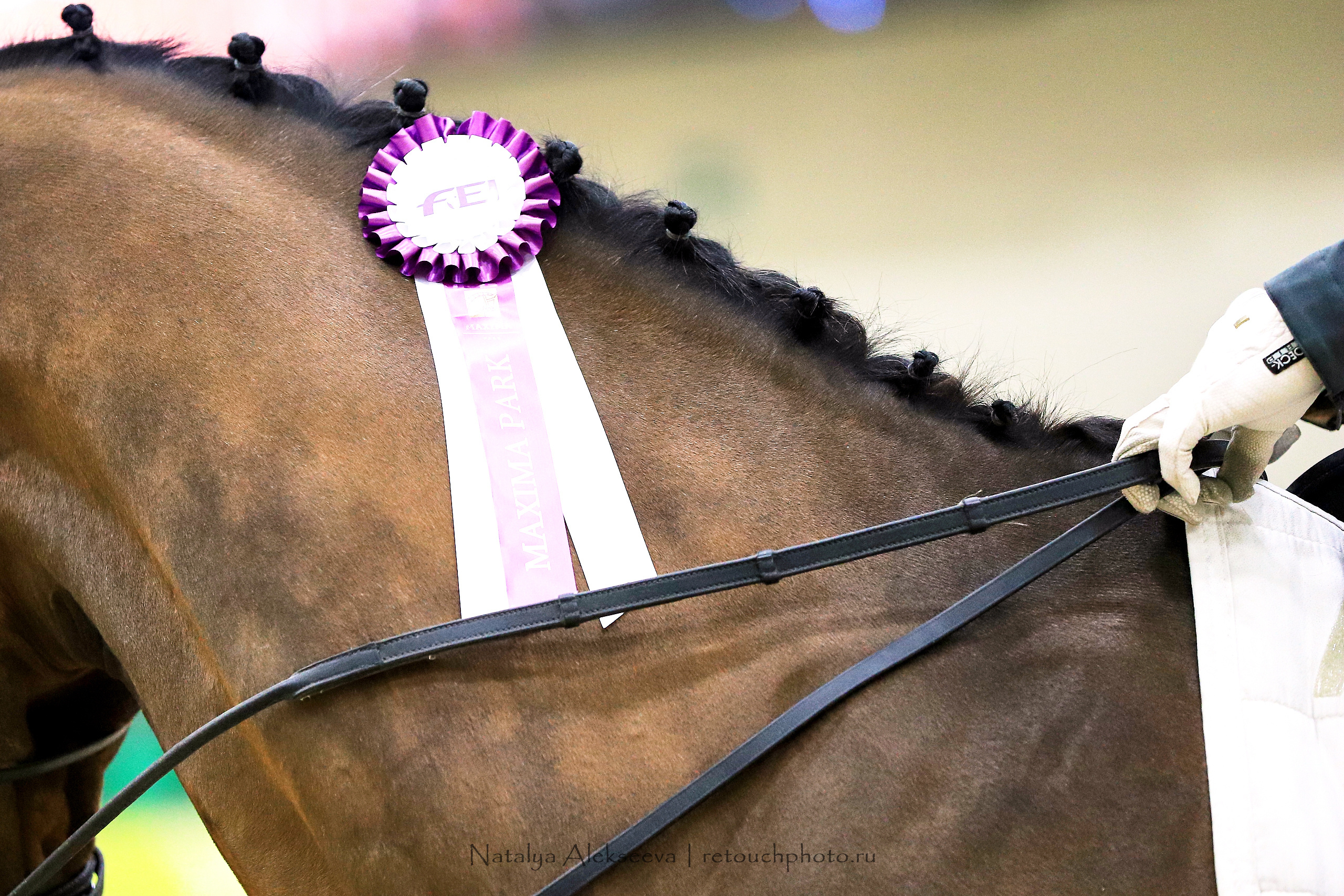 CDI-3*/2*/Y/J/CH, Maxima Stables | 11'2019. Репортажный фотограф и ретушер в Москве Наталья Алексеева