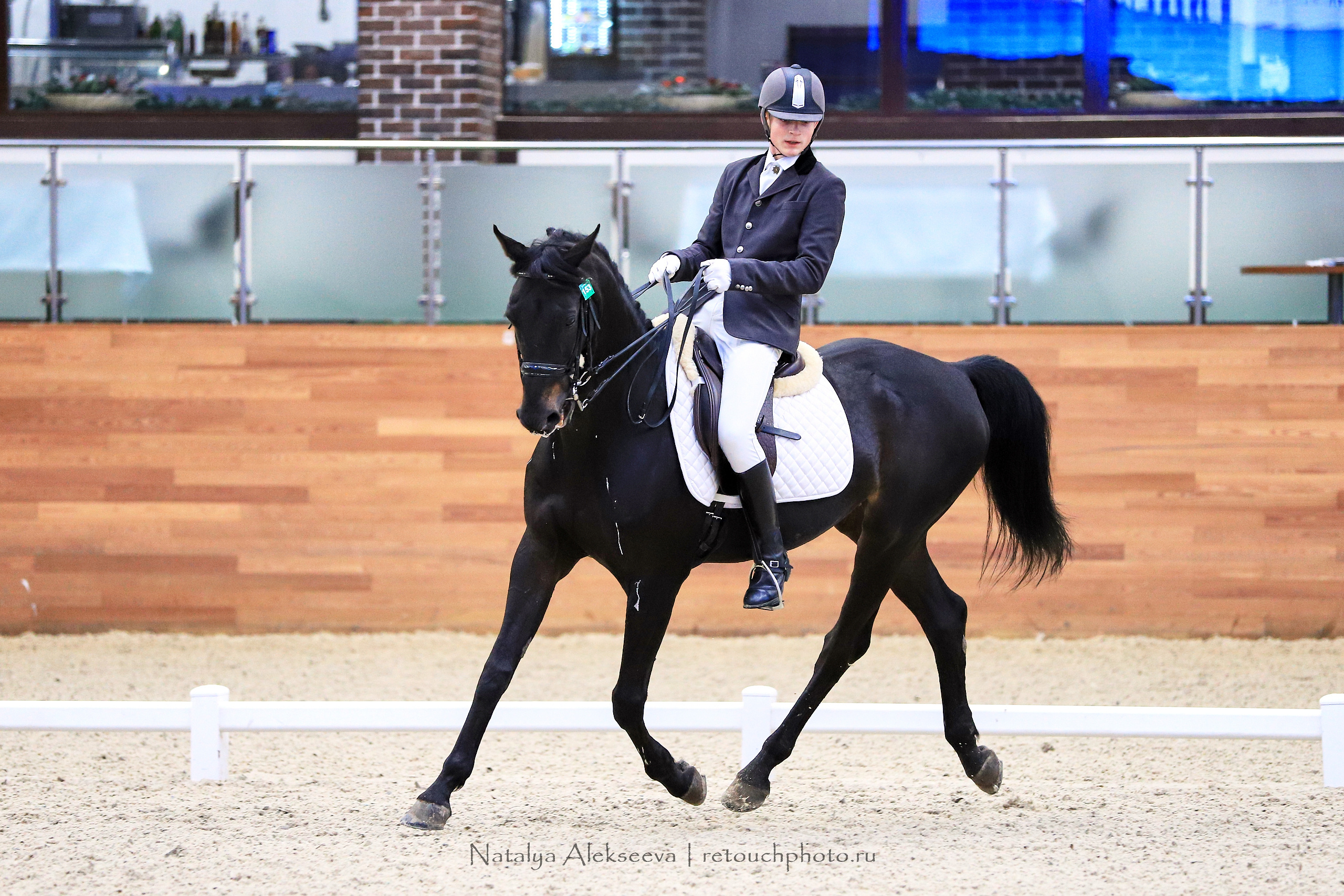 CDI-3*/2*/Y/J/CH, Maxima Stables | 11'2019. Репортажный фотограф и ретушер в Москве Наталья Алексеева