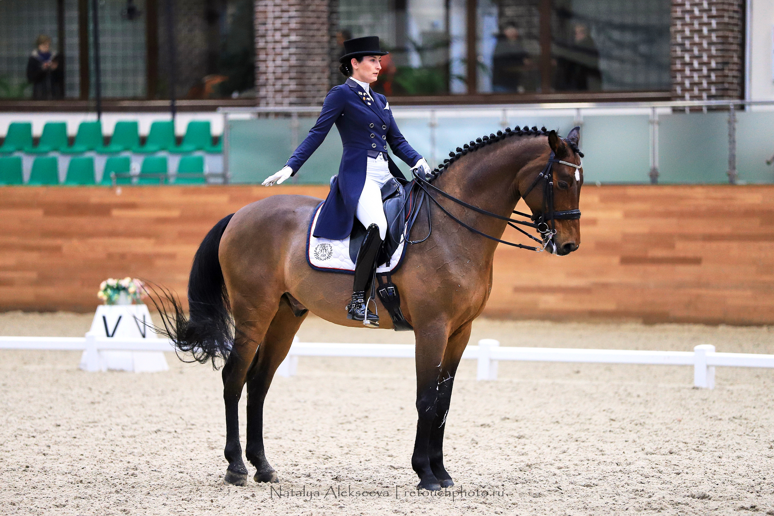 CDI-3*/2*/Y/J/CH, Maxima Stables | 11'2019. Репортажный фотограф и ретушер в Москве Наталья Алексеева