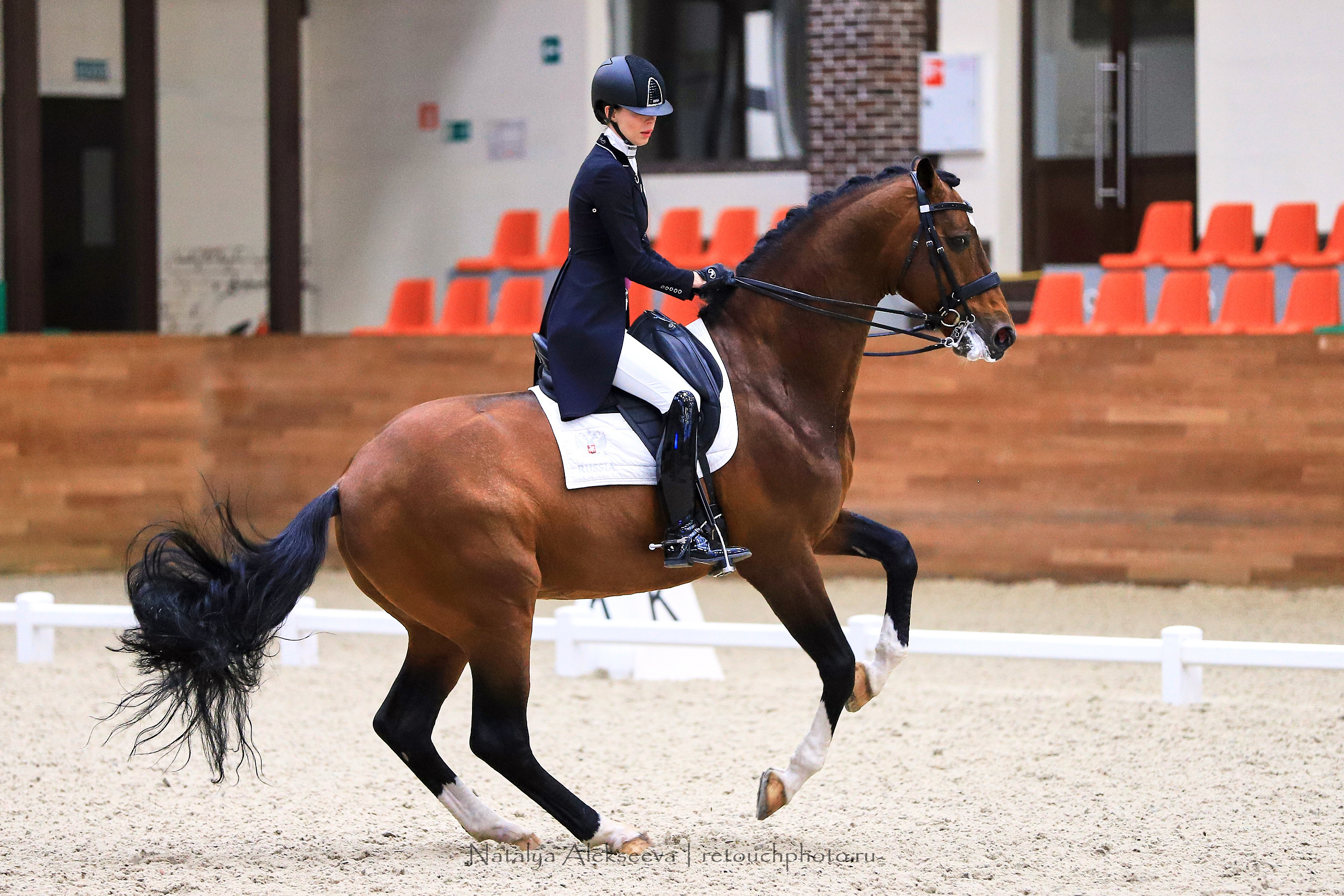 CDI-3*/2*/Y/J/CH, Maxima Stables | 11'2019. Репортажный фотограф и ретушер в Москве Наталья Алексеева