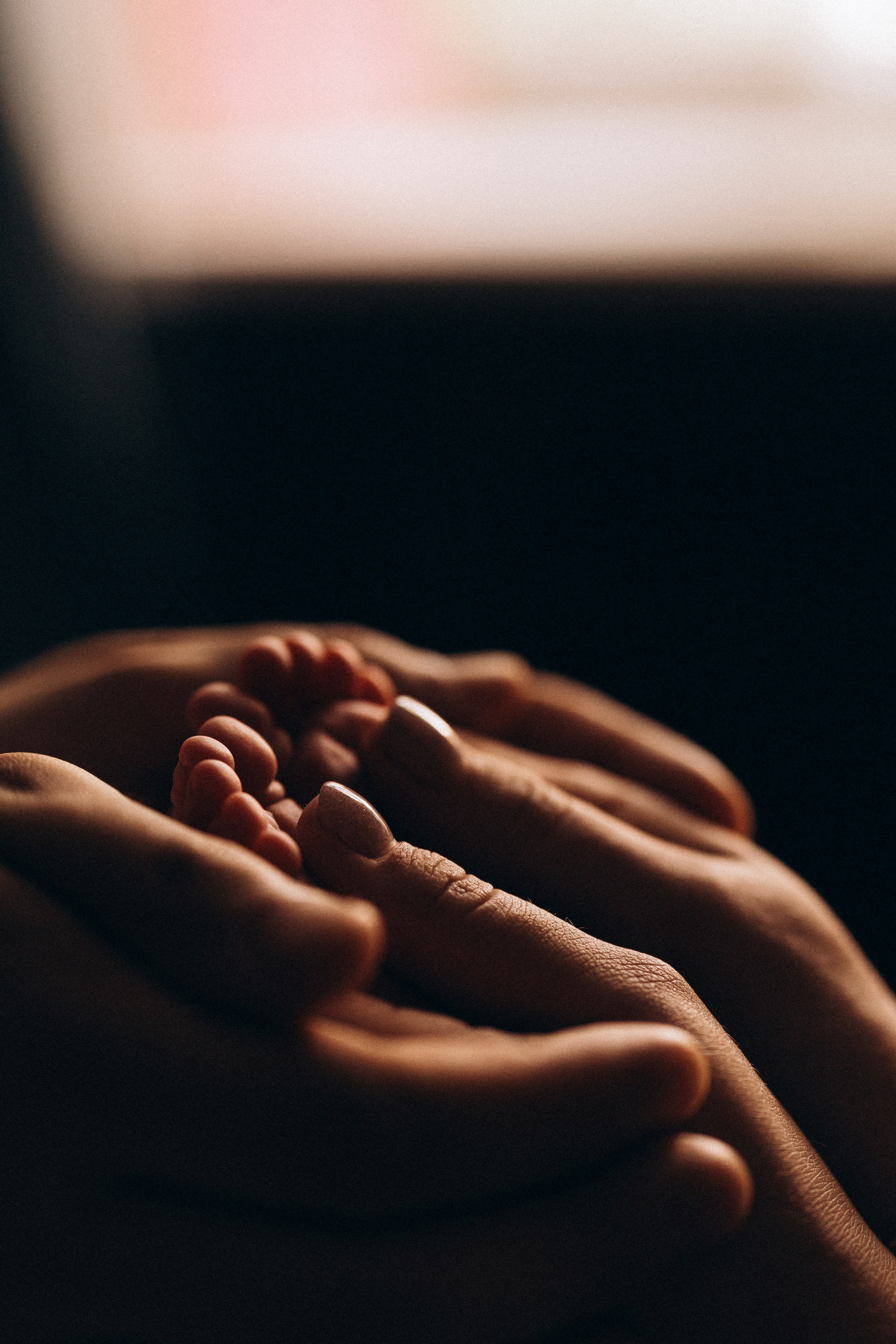 Василиса. Евгения Пелипас