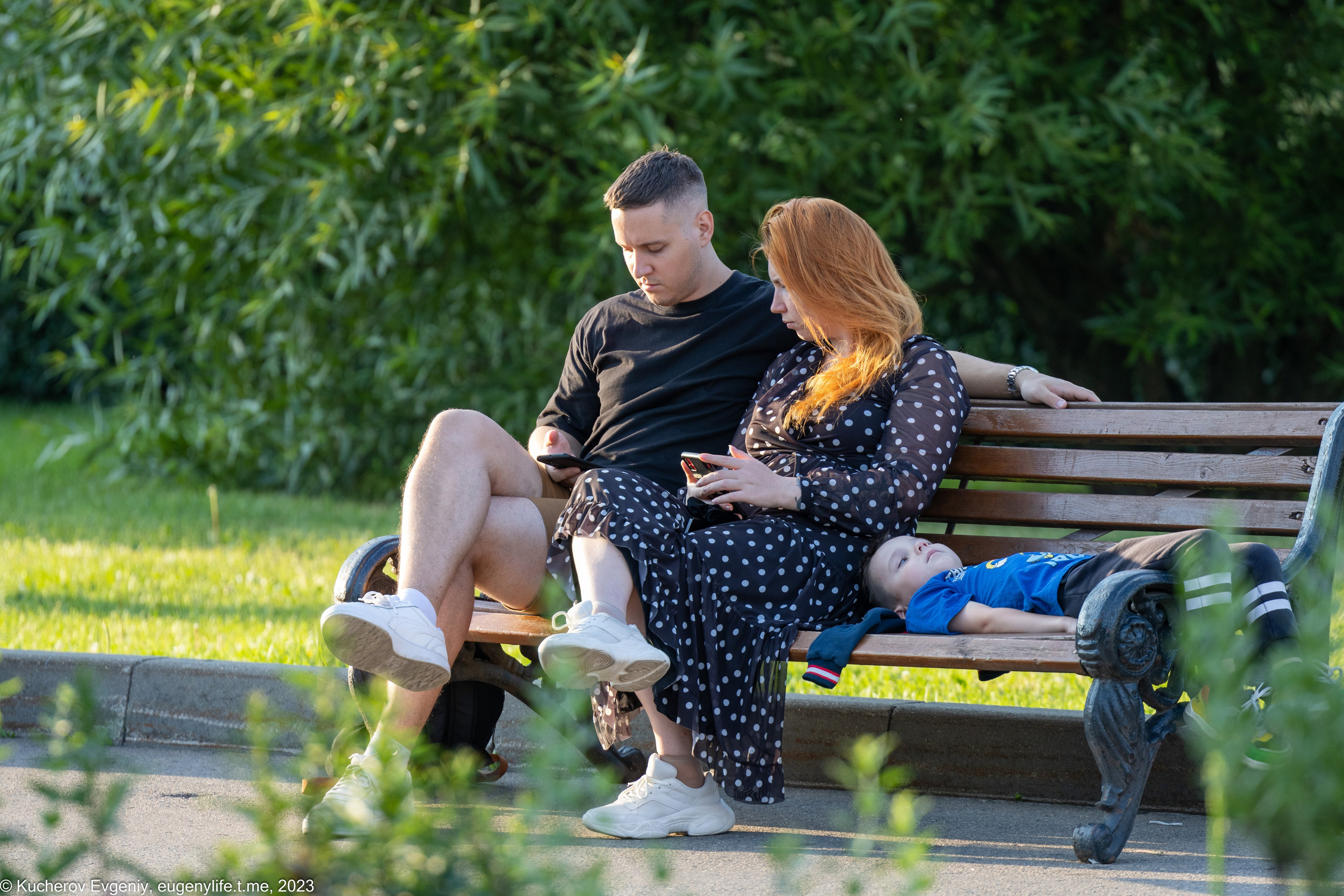 Скамейки. Кучеров Евгений. Фотограф