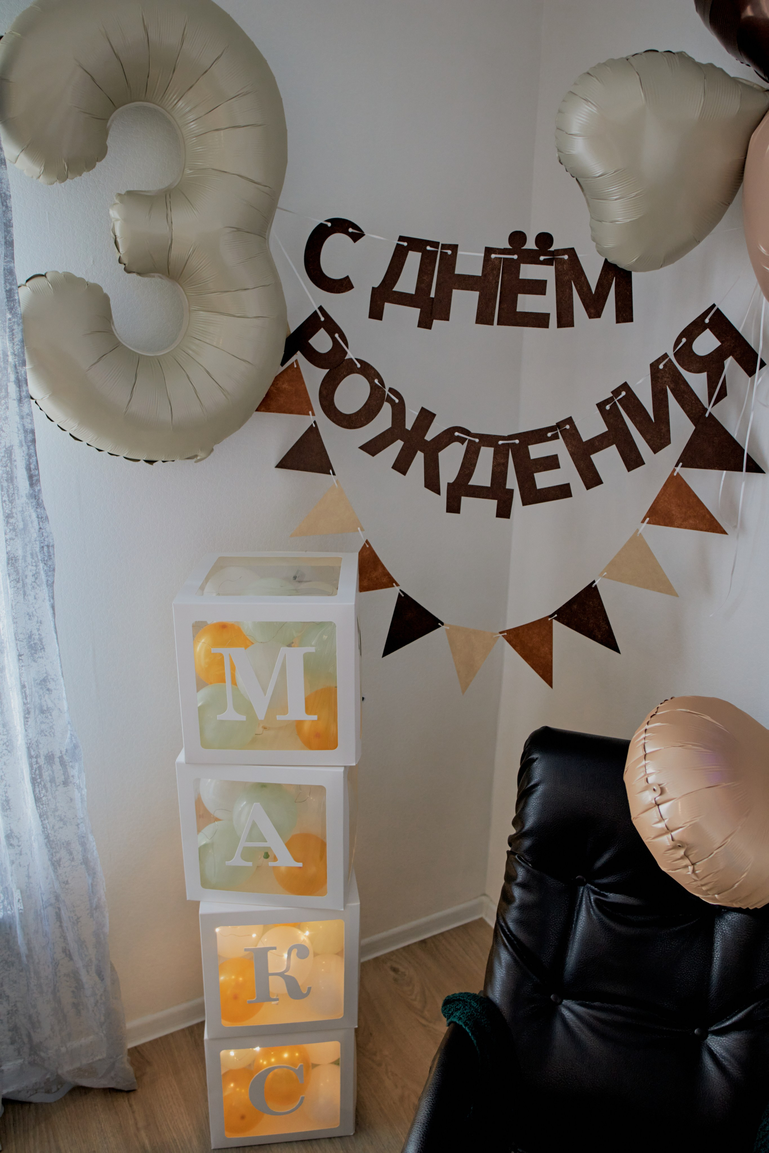 Три кота. Фотограф Москва