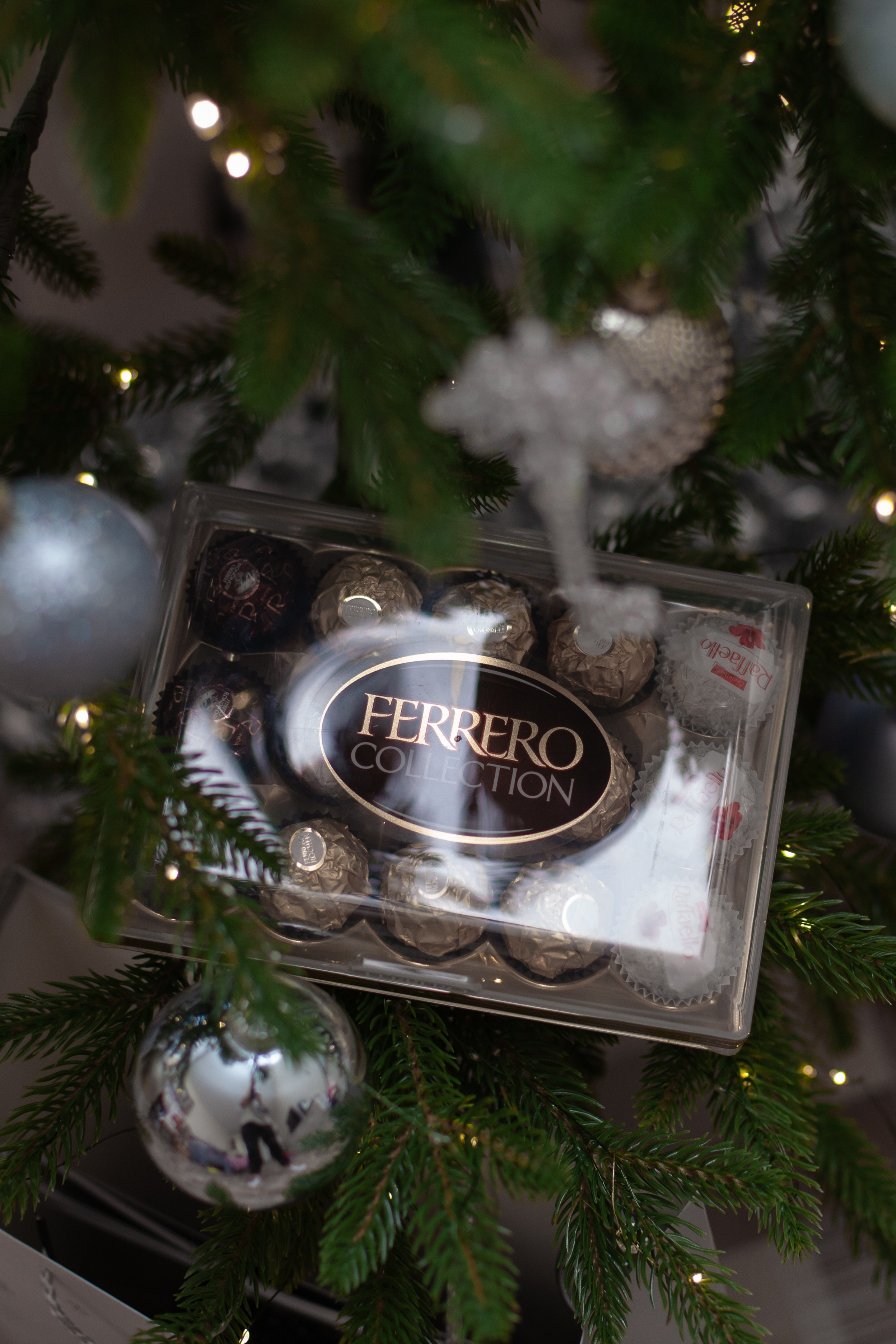 Домашняя. Фотограф в Томске Евгения Гуляева