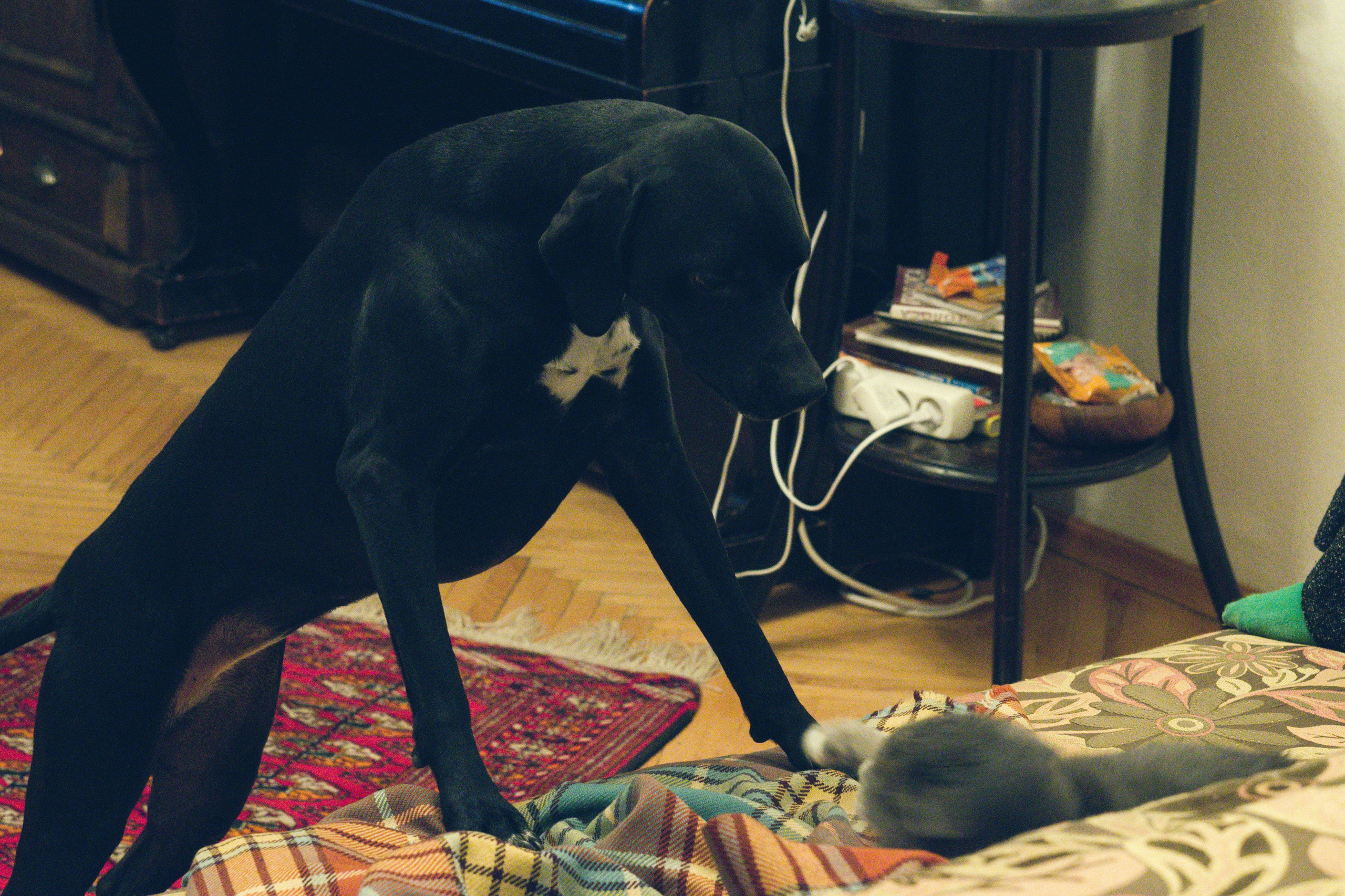 Чина и её люди. Дмитрий Бречалов