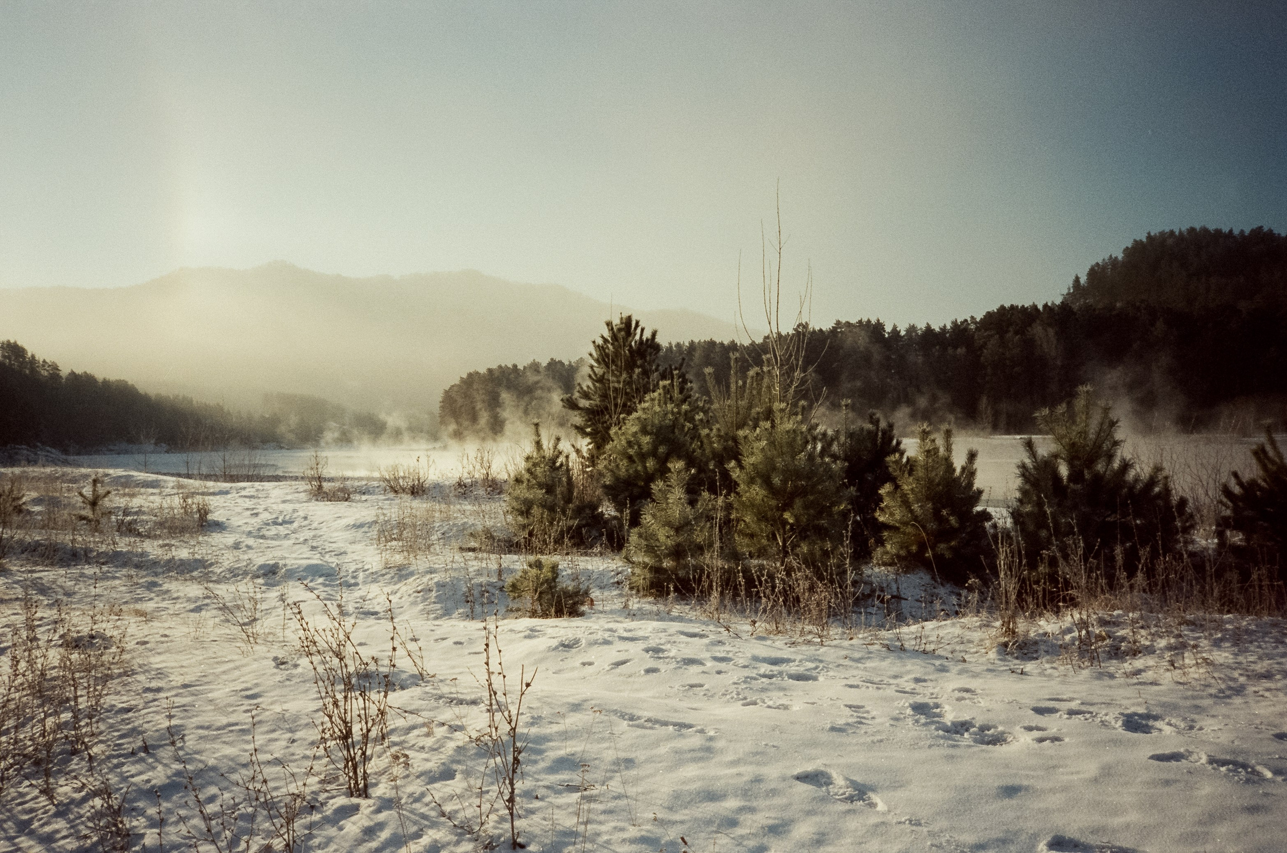 Утро в Манжероке и кафе-автобус Coffee Bus на Чемальском тракте. Фотограф-документалист Мария Осокина