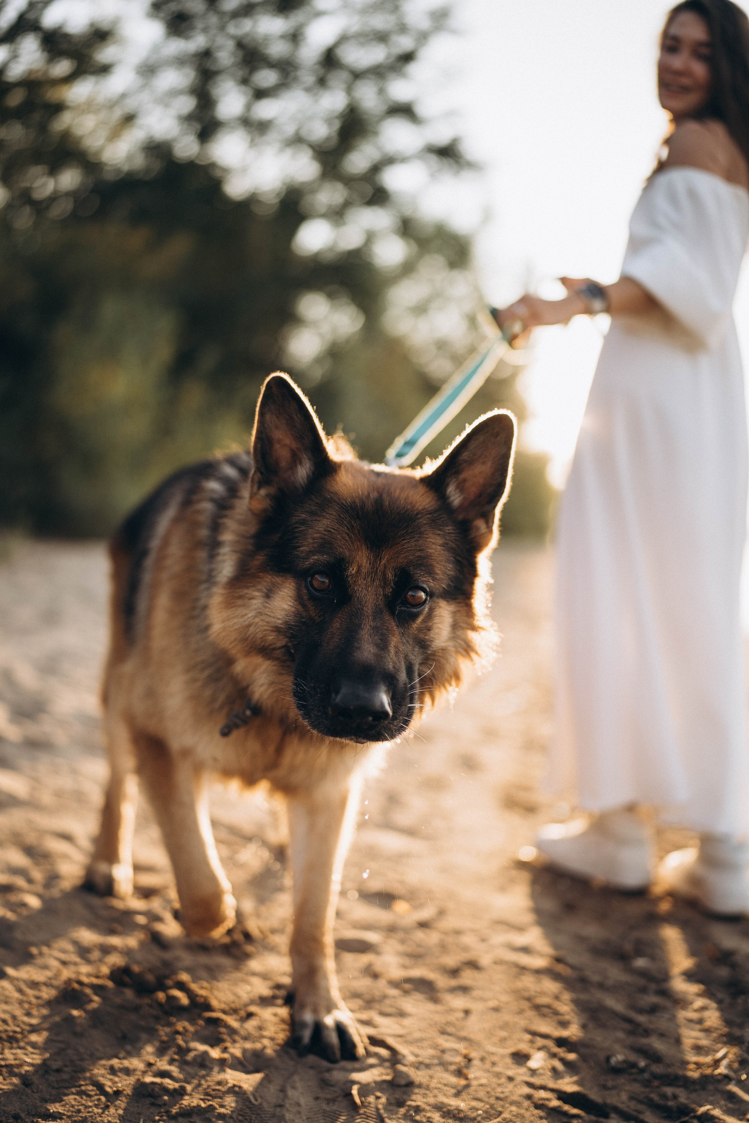 Карина & Килл. Свадебный и семейный фотограф в Перми Дарья Алекс