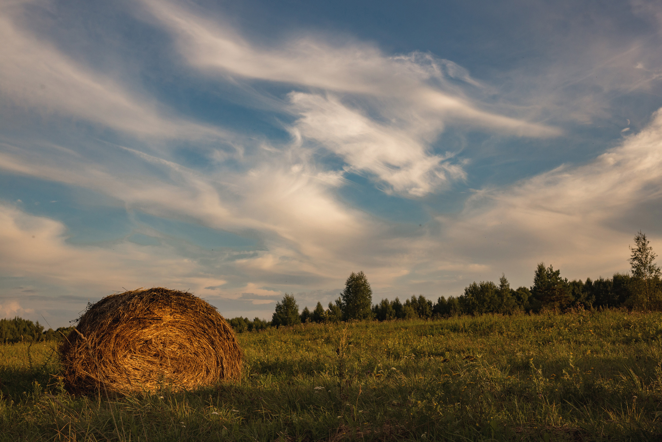 Вова & Таня. Креативный фотограф в Москве