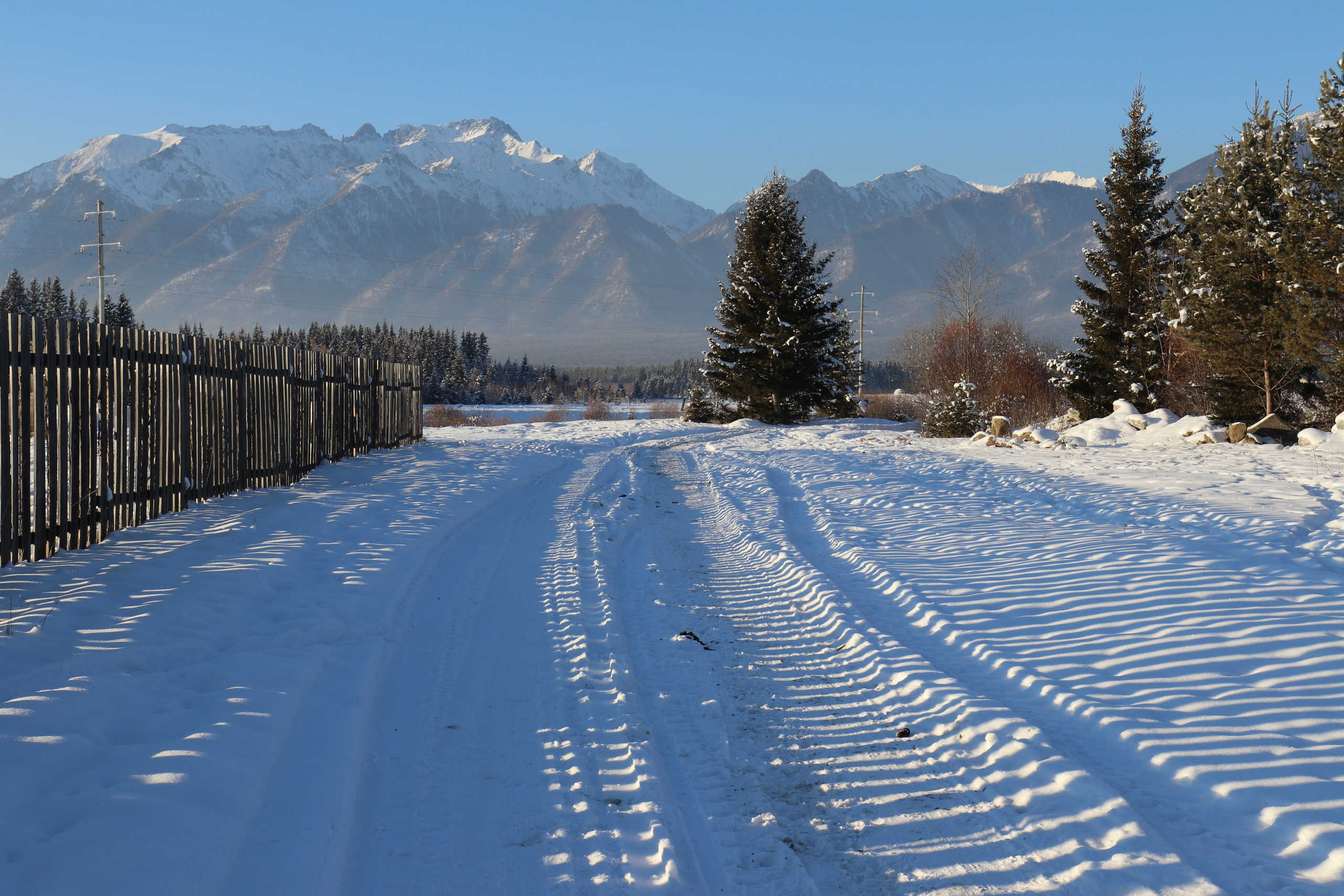 Аршан. Январь 2022. Путешественник-фотограф из Санкт-Петербурга Татьяна Свистулина