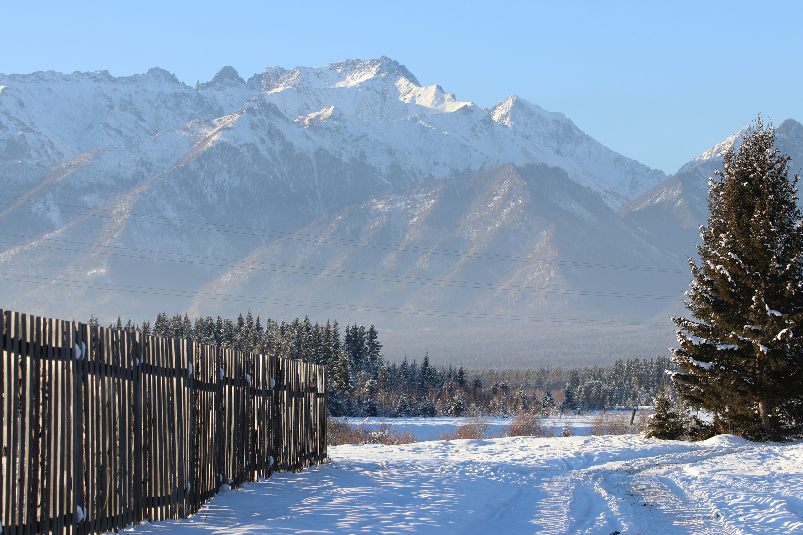 Аршан. Январь 2022. Путешественник-фотограф из Санкт-Петербурга Татьяна Свистулина