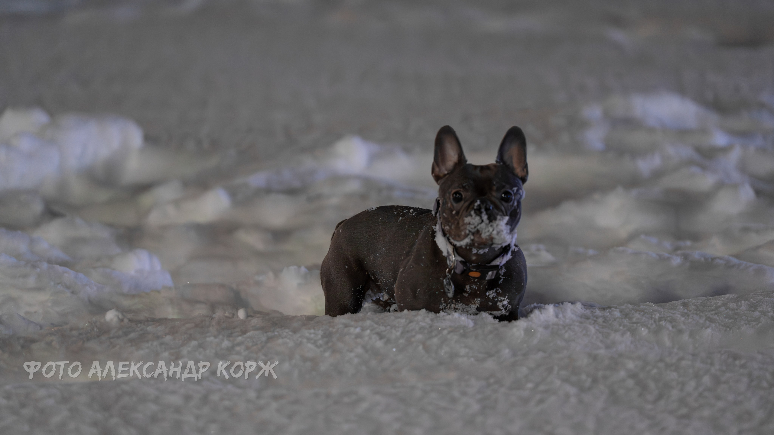 Природа крайнего Севера. Айхал. Фотографии и видеосъемка, Айхал, Удачный, Якутия. Фотографии Айхал