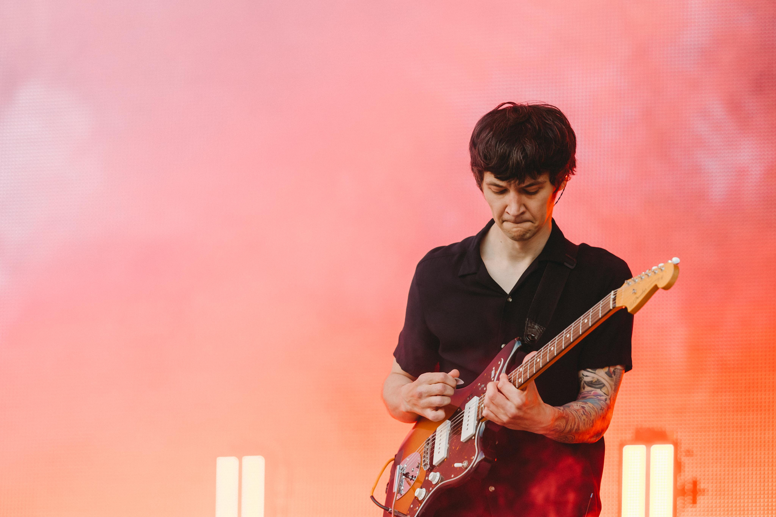 ДЕЛЬФИН НА ЛАСТОЧКА SUMMEET. Фотограф Сонкина Татьяна