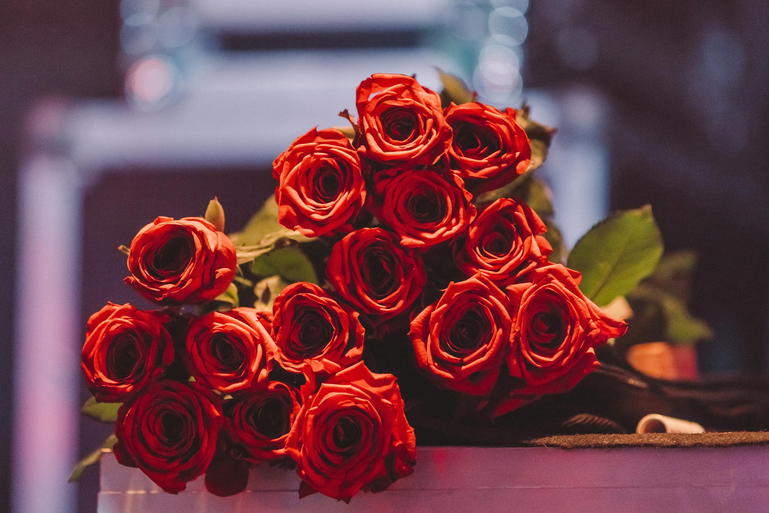 Группа Бахыт-Компот. Фотограф Сонкина Татьяна