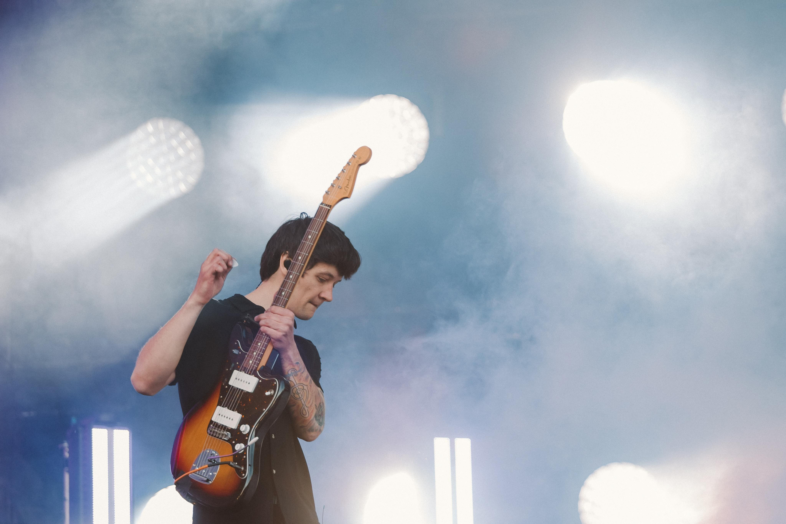 ДЕЛЬФИН НА ЛАСТОЧКА SUMMEET. Фотограф Сонкина Татьяна