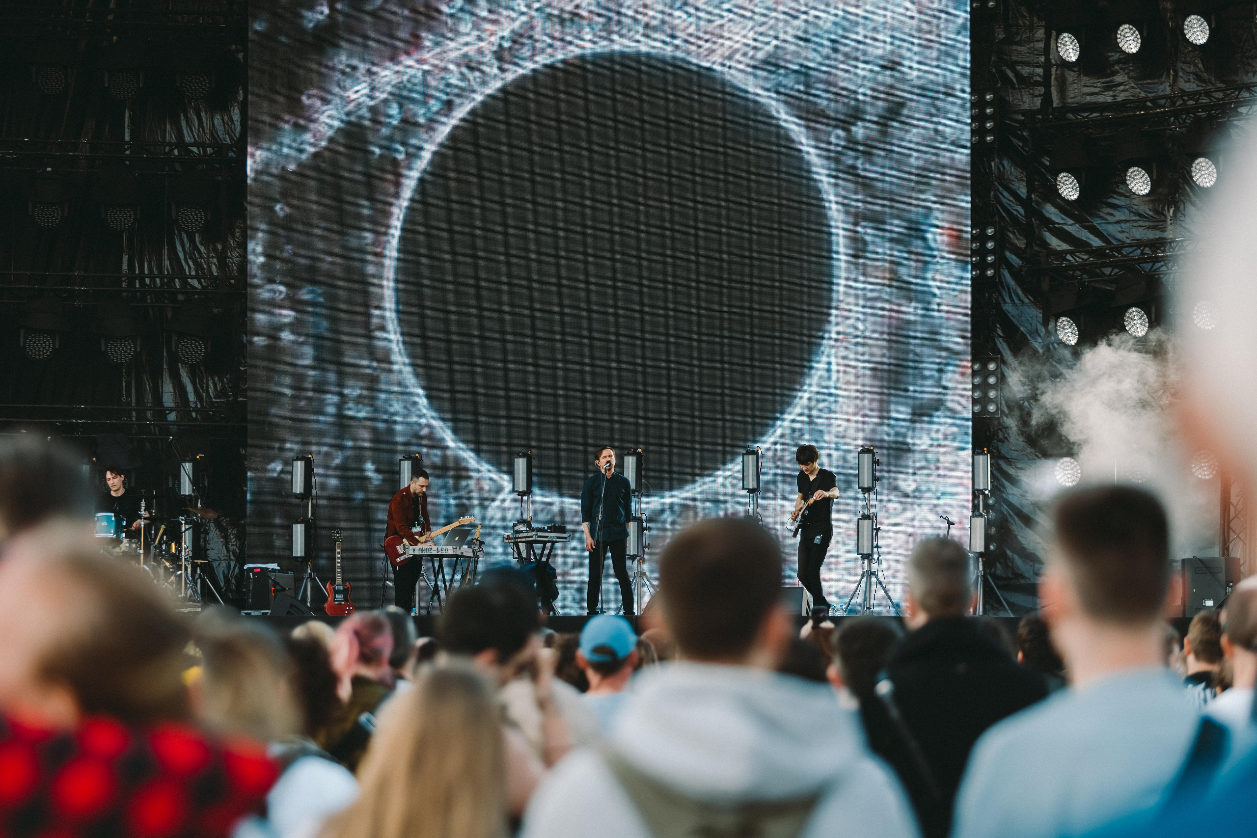 ДЕЛЬФИН НА ЛАСТОЧКА SUMMEET. Фотограф Сонкина Татьяна