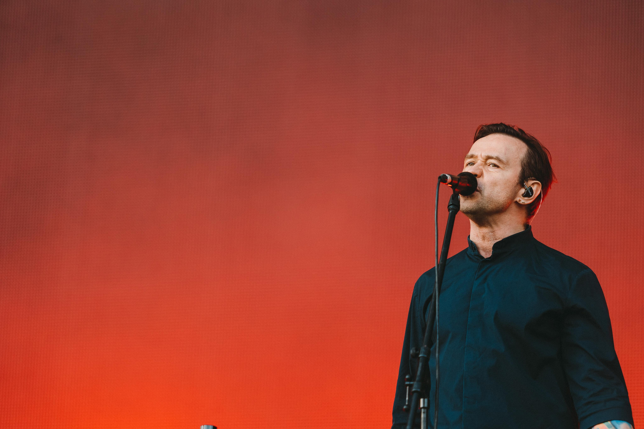 ДЕЛЬФИН НА ЛАСТОЧКА SUMMEET. Фотограф Сонкина Татьяна