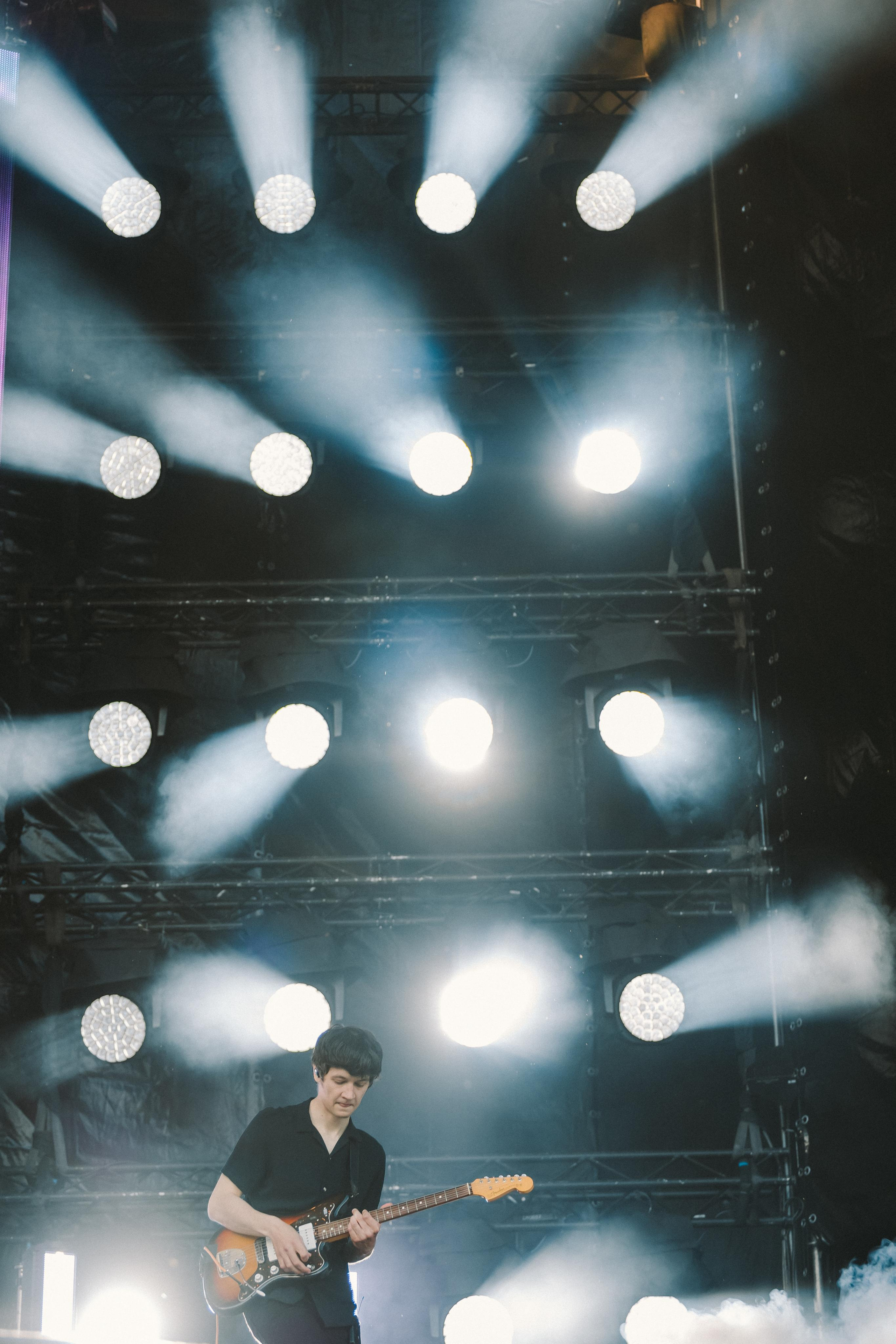 ДЕЛЬФИН НА ЛАСТОЧКА SUMMEET. Фотограф Сонкина Татьяна