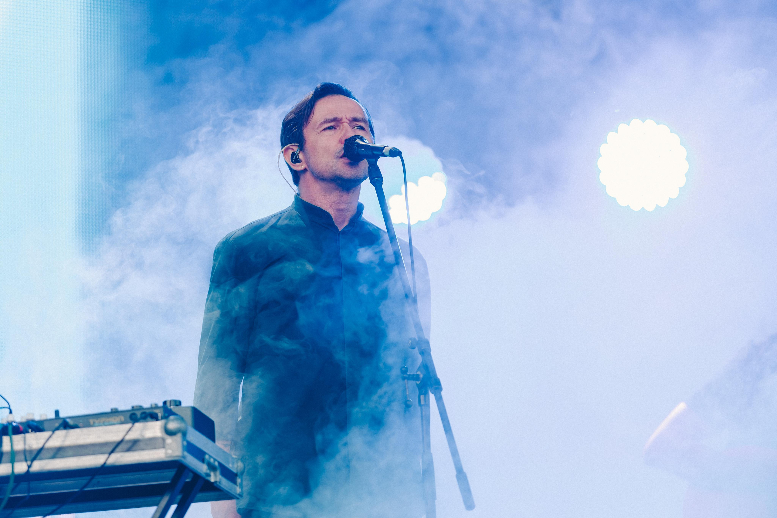 ДЕЛЬФИН НА ЛАСТОЧКА SUMMEET. Фотограф Сонкина Татьяна