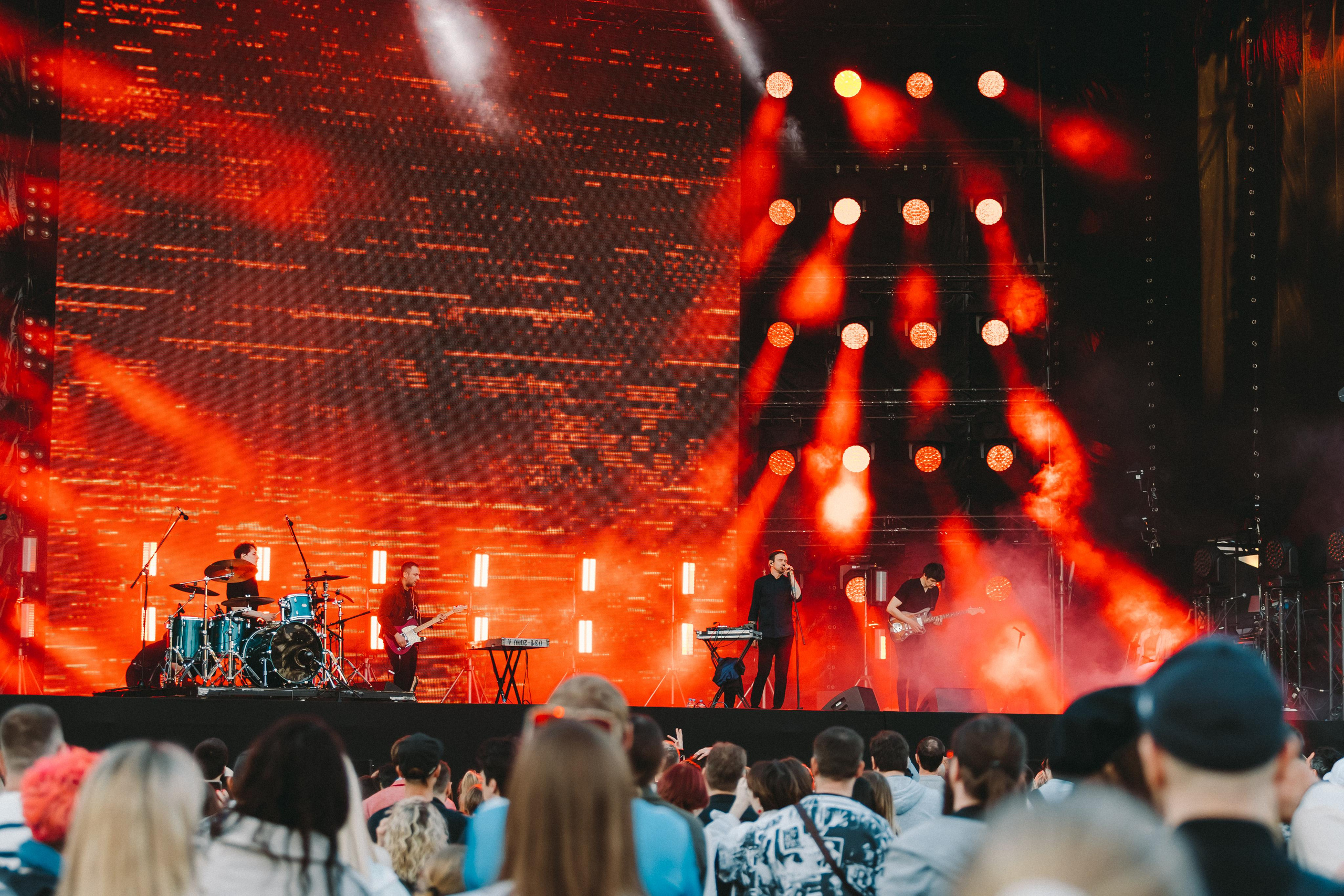 ДЕЛЬФИН НА ЛАСТОЧКА SUMMEET. Фотограф Сонкина Татьяна