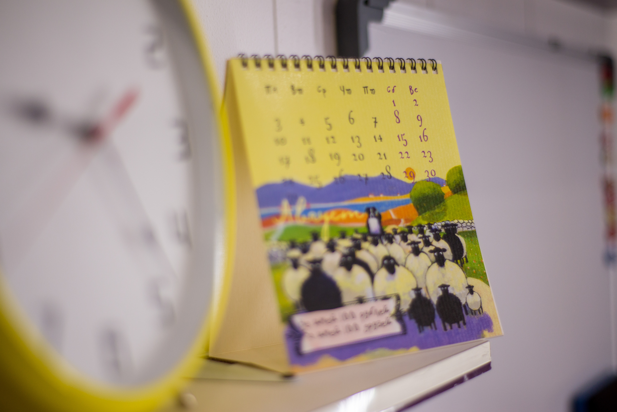 Мират и Алина. Евгения Усманова — семейный фотограф в городах Стерлитамак и Уфа