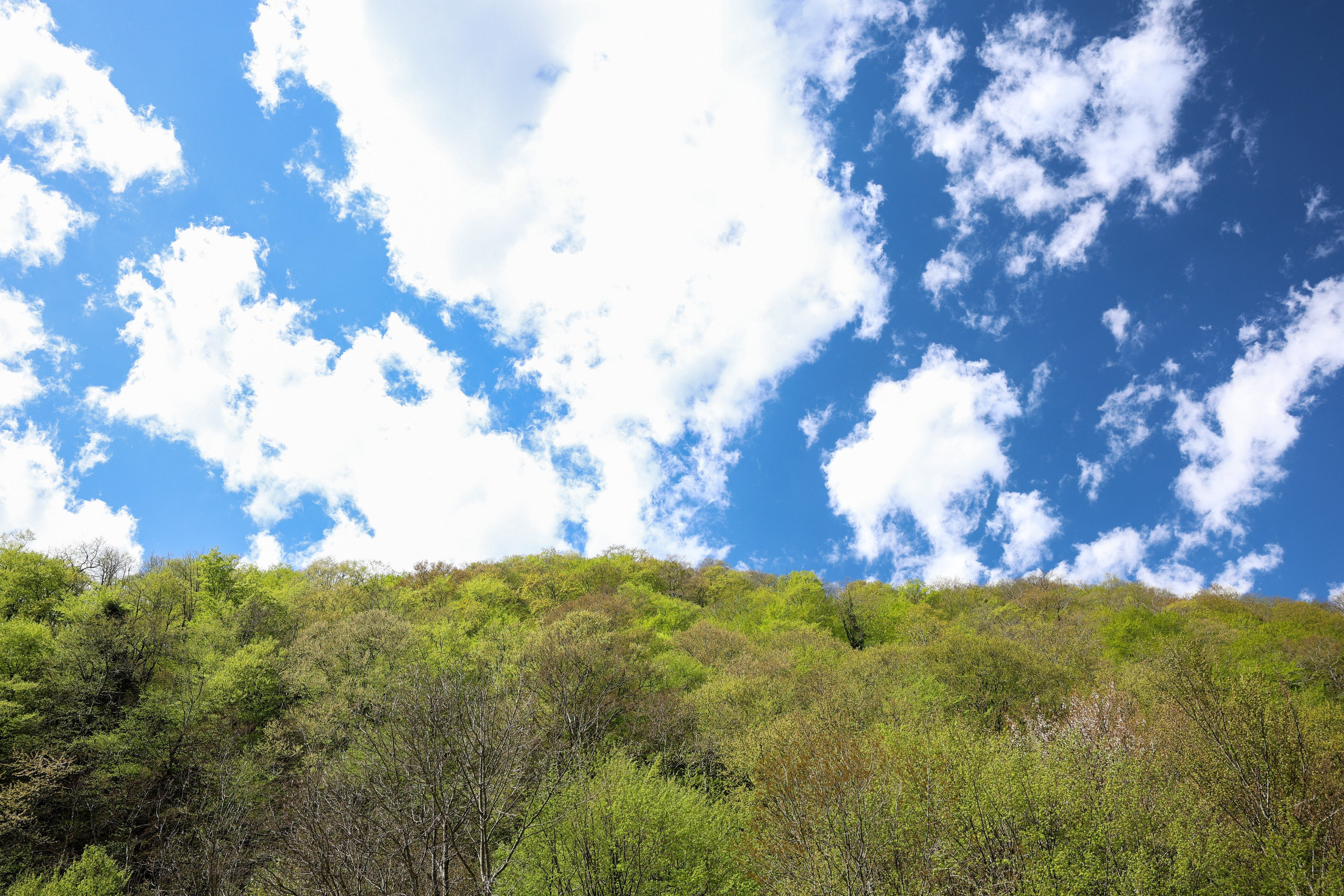 Фотограф Мария Алексеева. Мария Алексеева. Фотограф в Москве