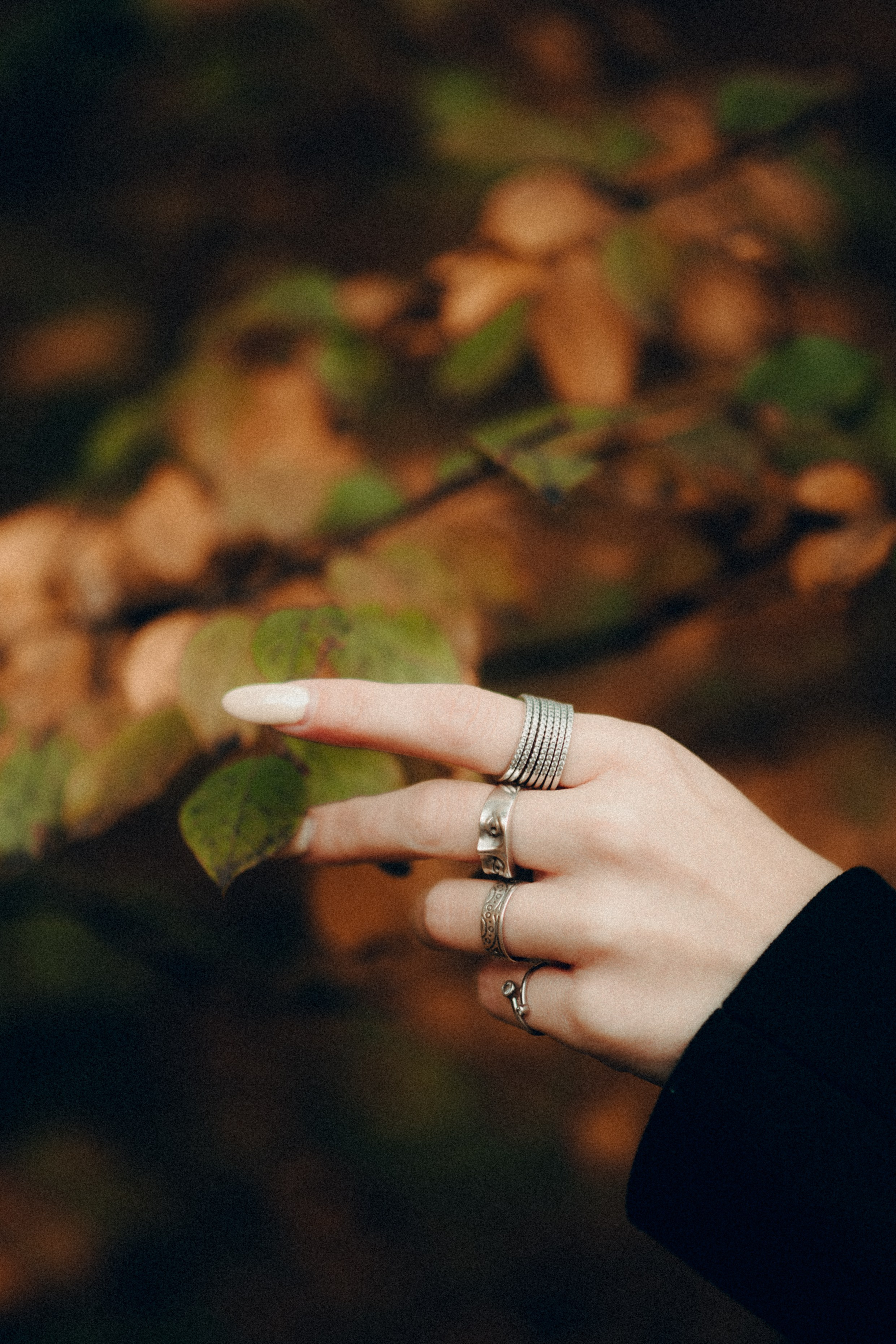 Осенний портрет, Октябрьское поле