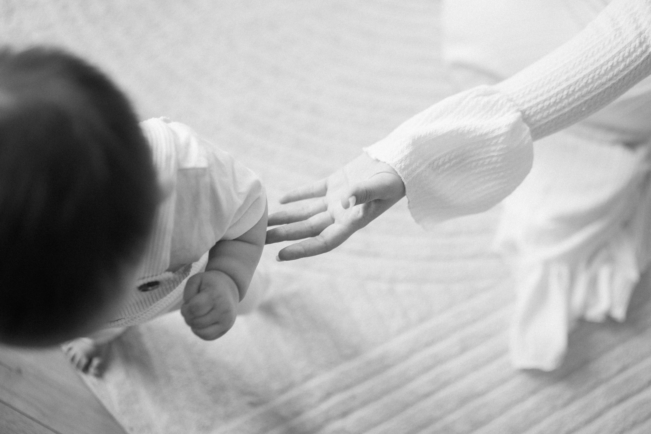 Новый год. Фотограф Москва Татьяна Гайдаржи