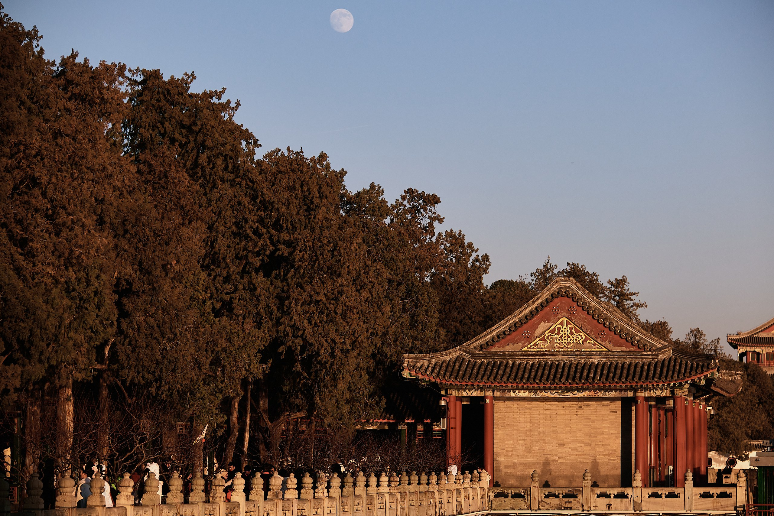 Архитекторы.РФ. Фотограф Артем Дербенев Москва