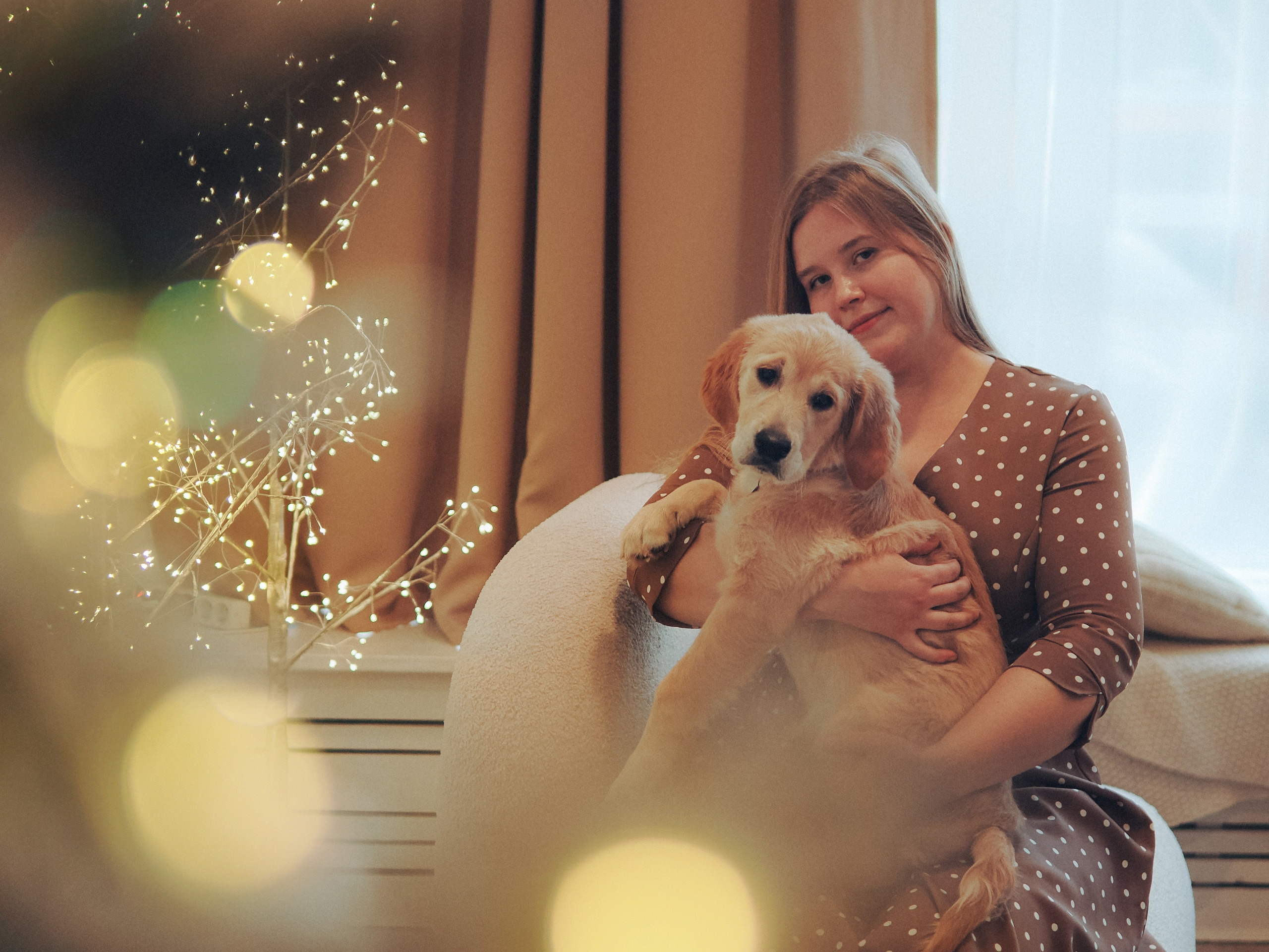 Малышка Молли и новый год. Фотограф в Москве — Сергей Люкшинов