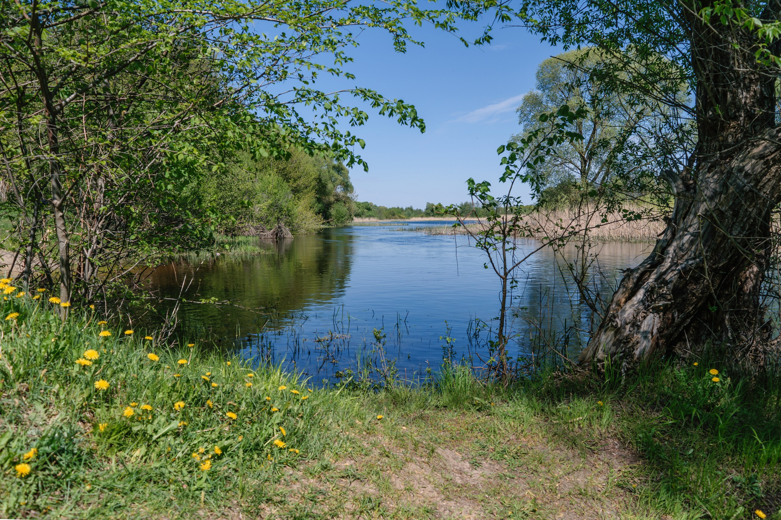 Пейзаж. ThePhenomPhoto