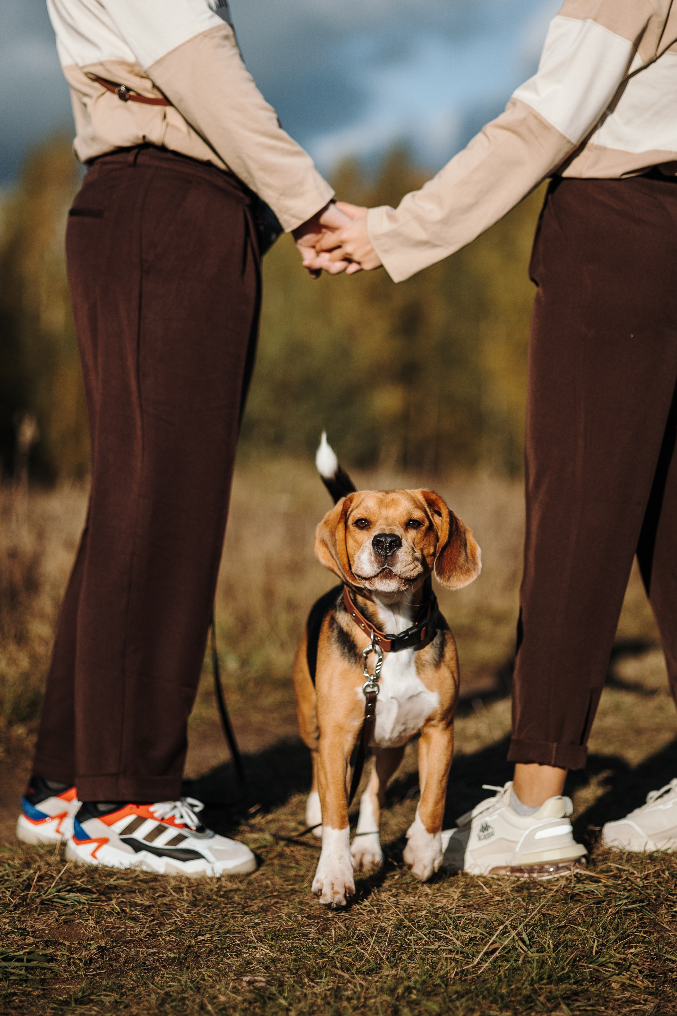 Оуджи и его семья. Фотограф — Анималист | Санкт-Петербург